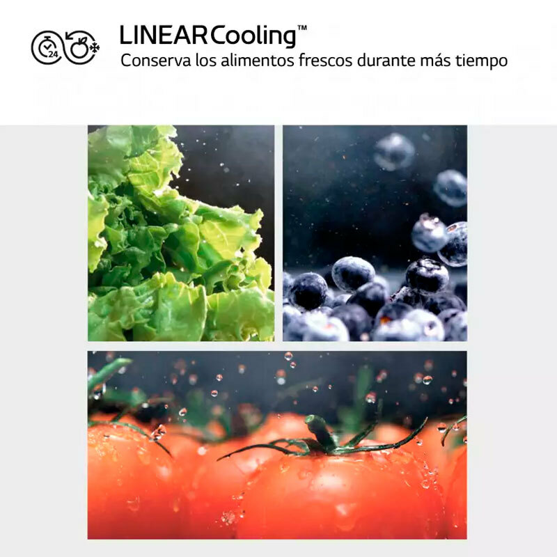 Frigorífico 1 puerta LG GLM71MCCSX – 413 L, No Frost, Inverter Linear