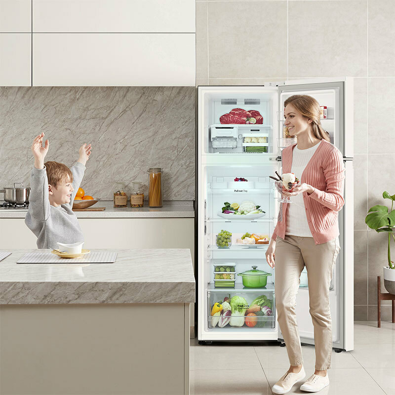 Frigorífico dos puertas LG GTBV20SWGKD – 266 L, Total No Frost, Compresor Inverter