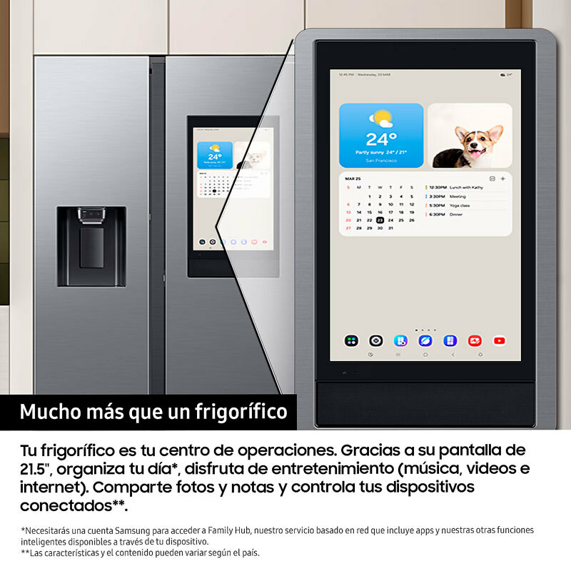 Frigorífico americano Samsung RS90F66BEFEF – 614 L, Family Hub 21.5", Dispensador agua y hielo