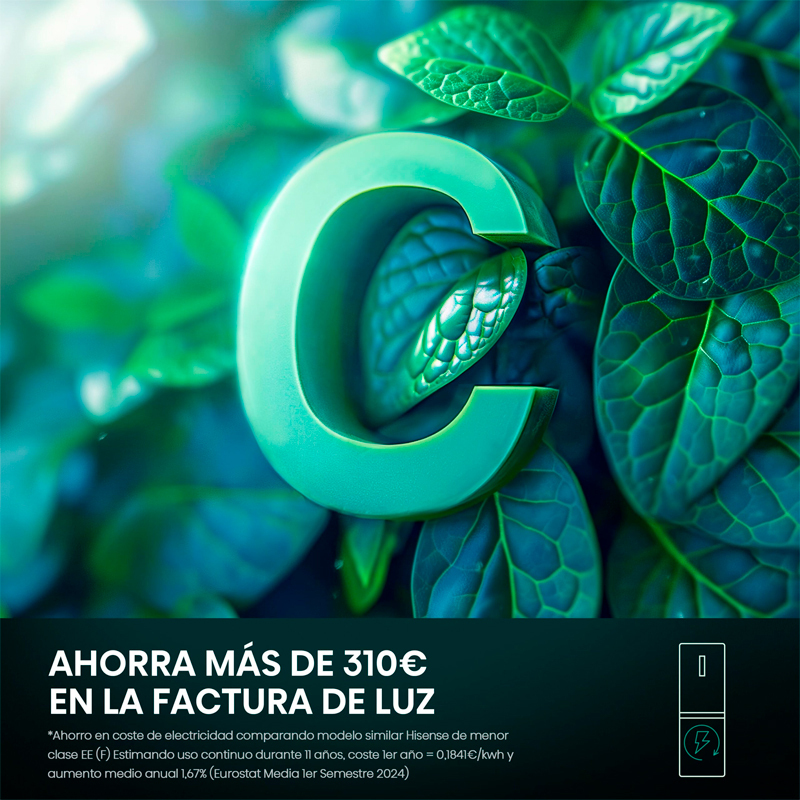 Frigorífico combi Hisense RB390N4BCC – 304 L, Total No Frost, Inverter