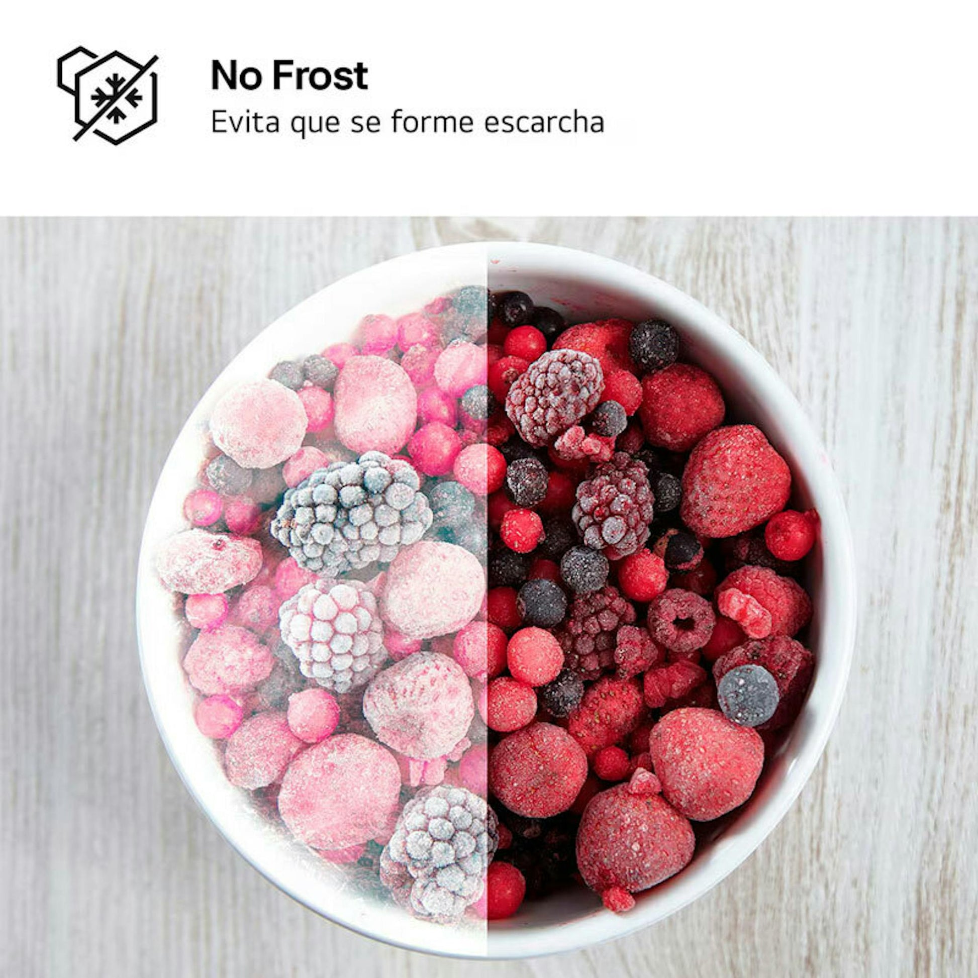 Gráfico No Frost con cuenco de frutos rojos helados, LG GTFN256SER