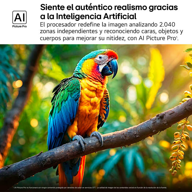 Televisor LG 50QNED87A6D – QNED evo 4K, Mini LED 50", Smart TV webOS 25