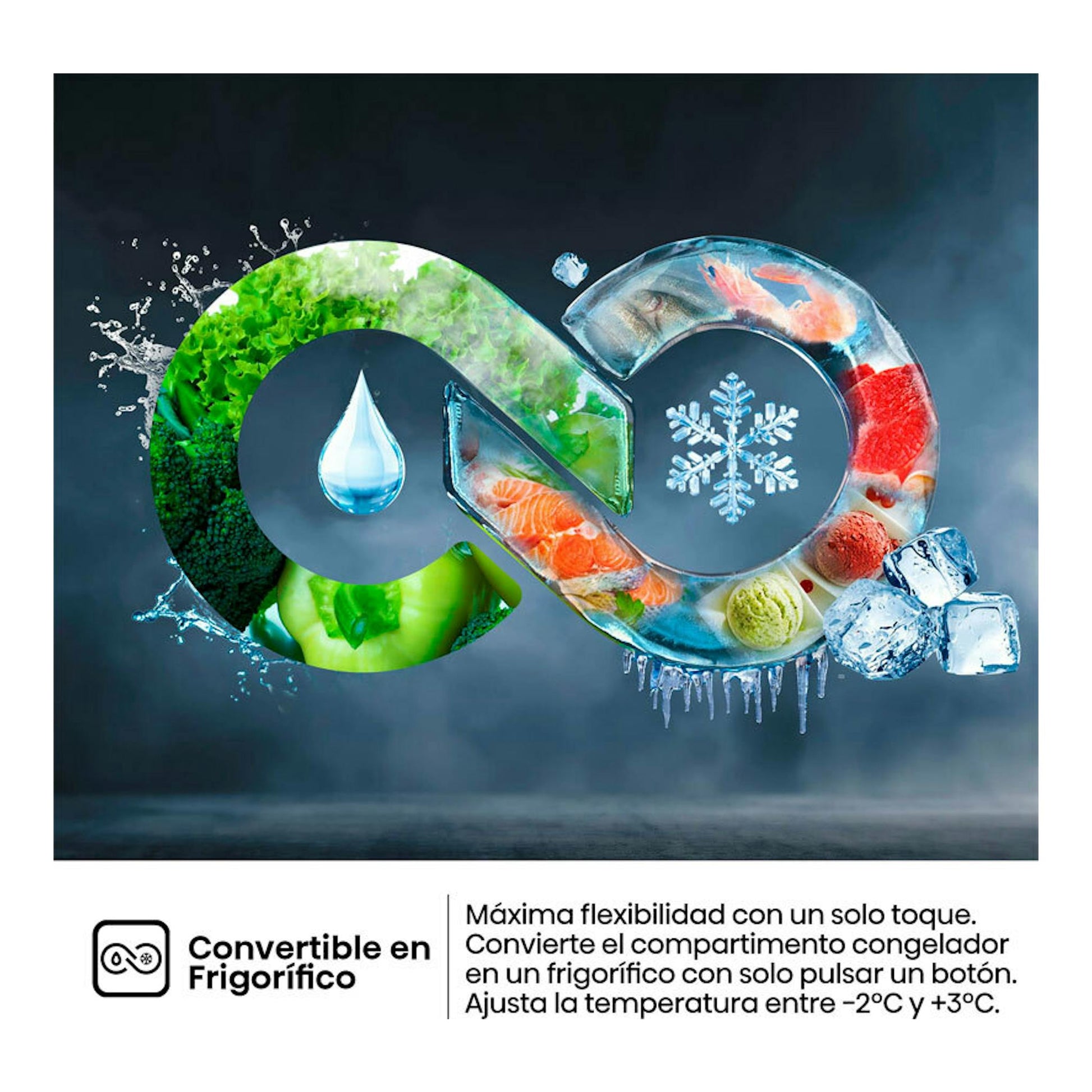 Hisense FT3K310SAIE Inox: gráfico de congelador convertible en frigorífico, con hielo, alimentos y copos de nieve.