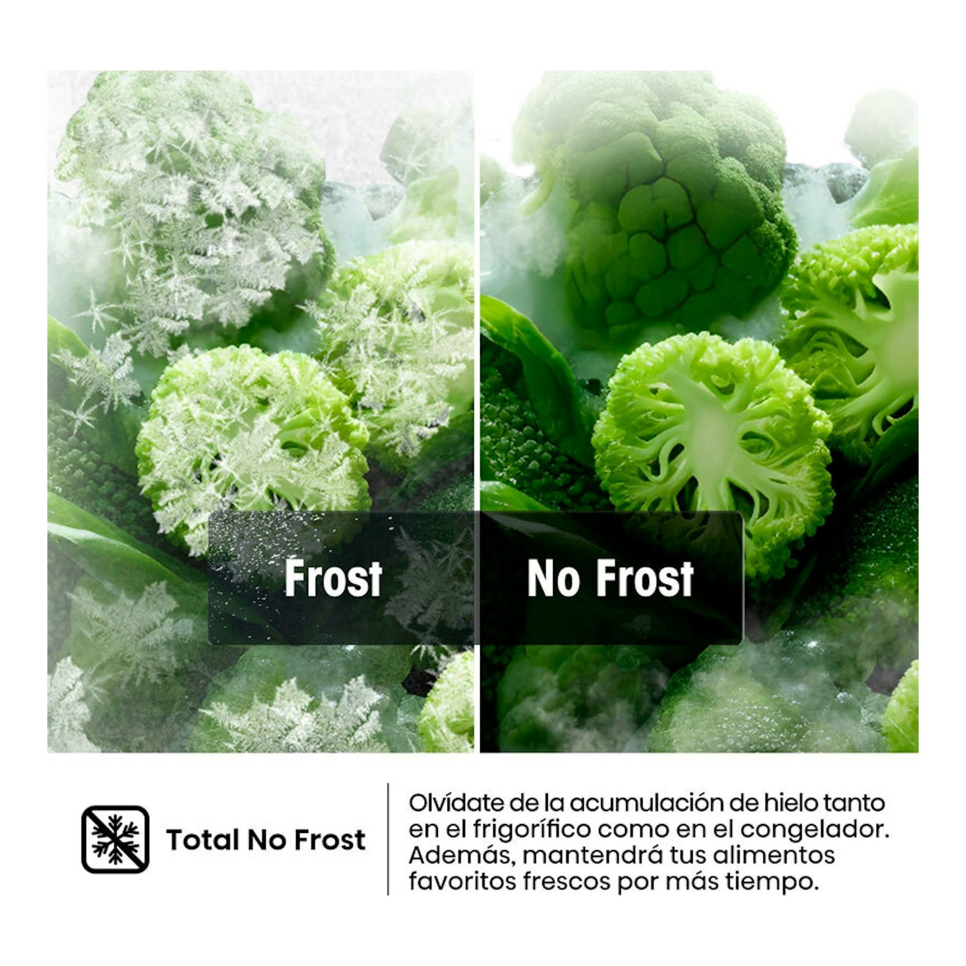 Hisense FT3K310SEWE, imagen comparativa Frost vs No Frost con verduras congeladas y texto de Total No Frost.