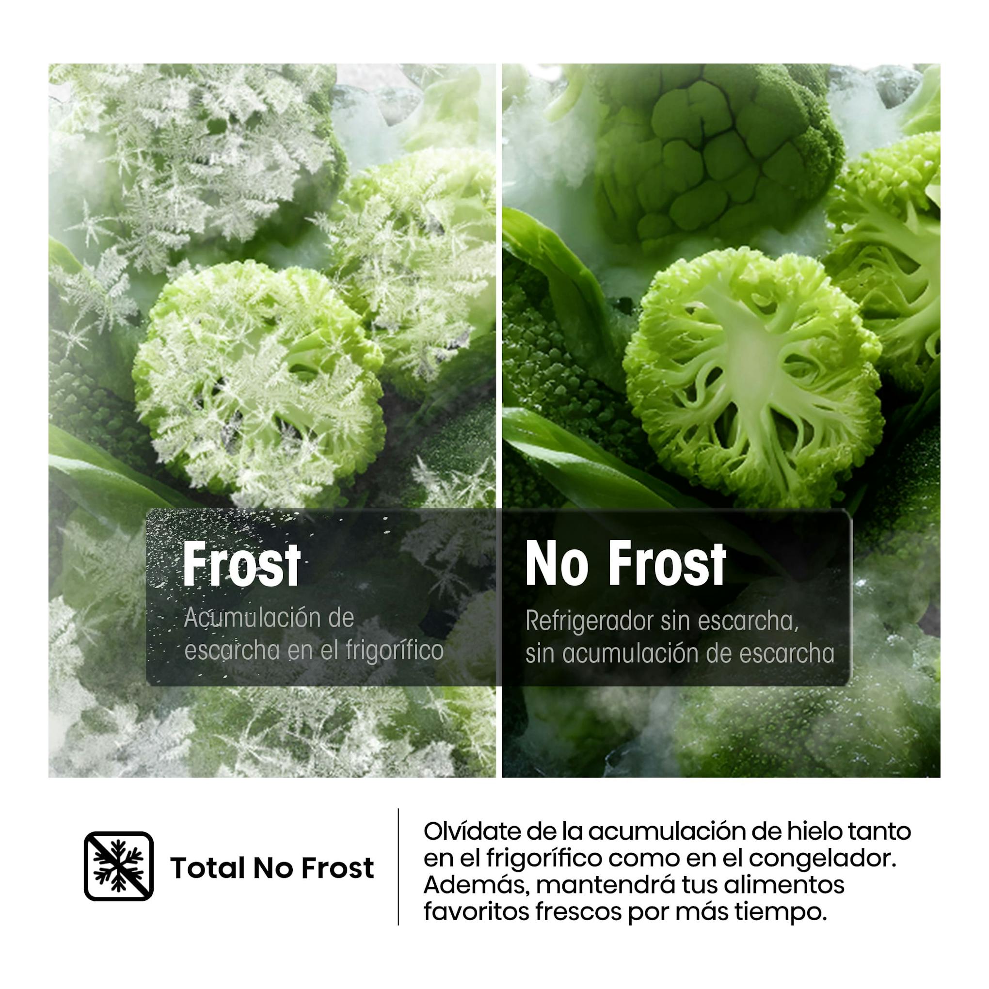 Infografía de Hisense FT3K310SEWE1: comparación Frost y No Frost con verduras congeladas.