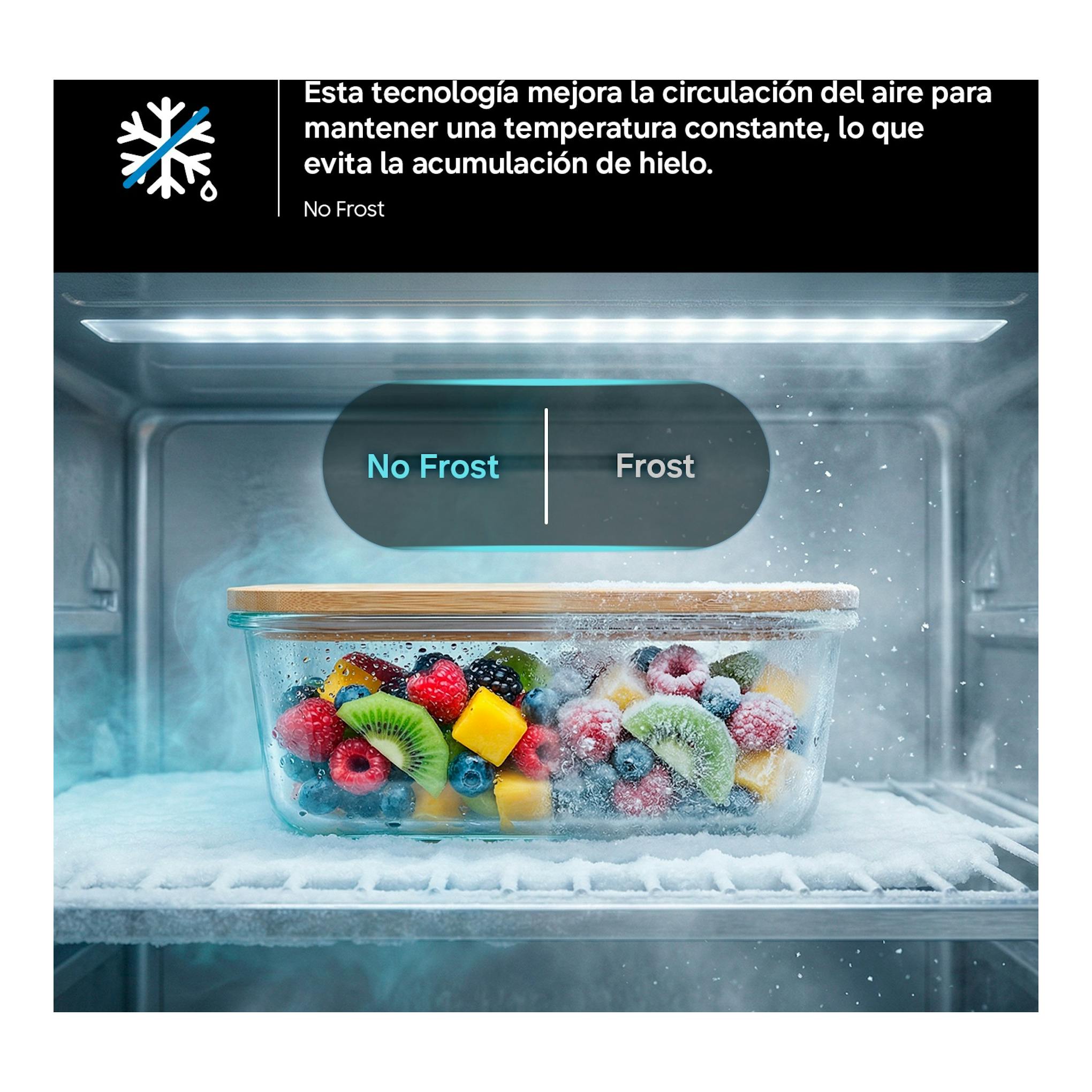 Infografía de Samsung RR40H39GETEF: vista interior de frigorífico con fruta, comparativa No Frost y escarcha.