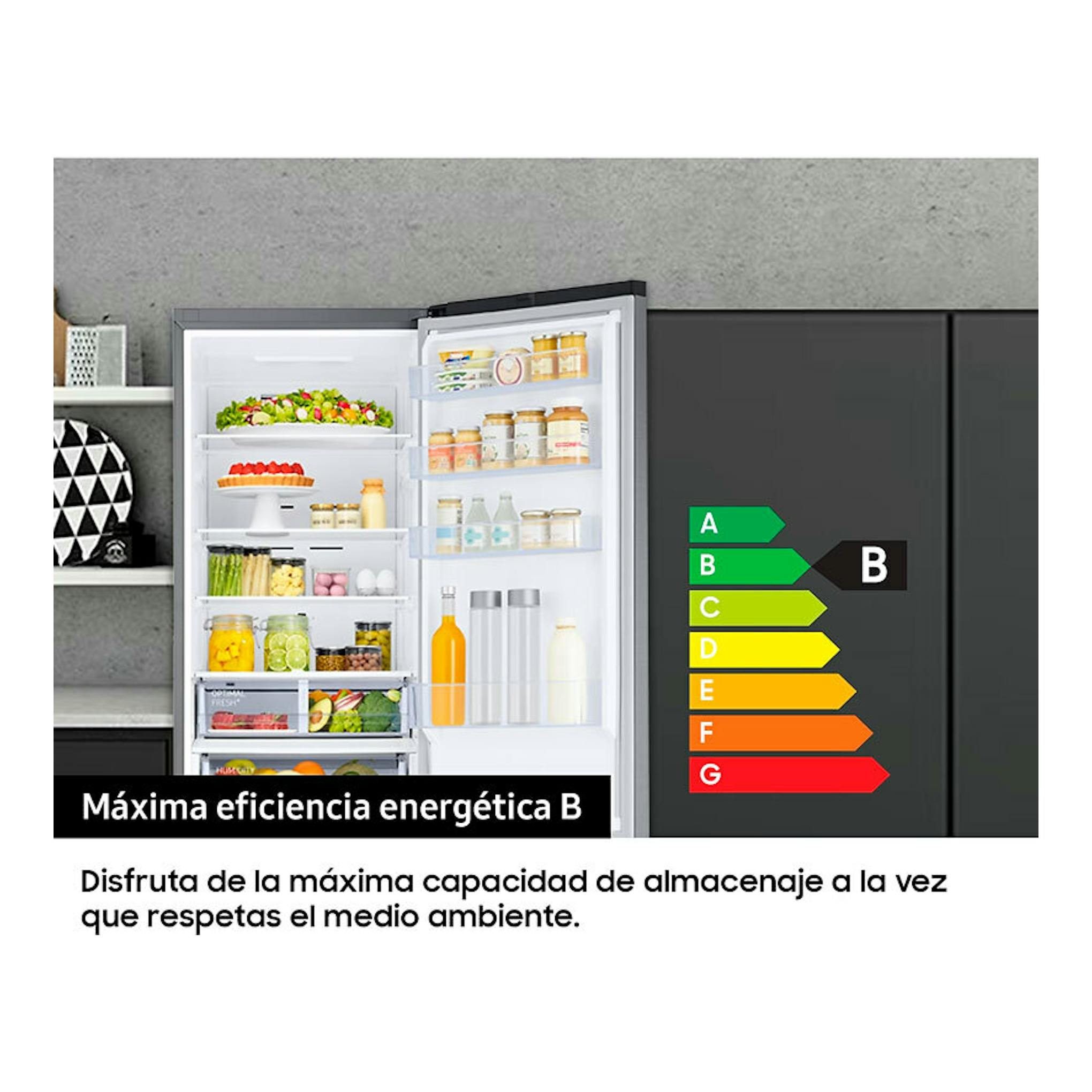 Frigorífico combi Samsung RB38T607BS9/EF inox, vista frontal con puerta abierta e interior visible, clase B.