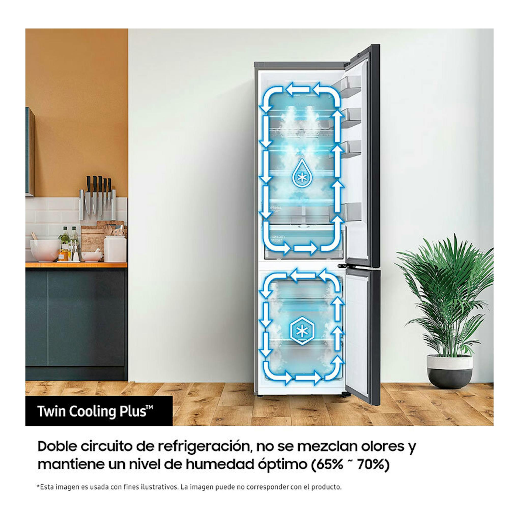 Frigorífico combi Samsung RB38T607BS9/EF inox, vista frontal con puertas abiertas y gráficos Twin Cooling Plus.