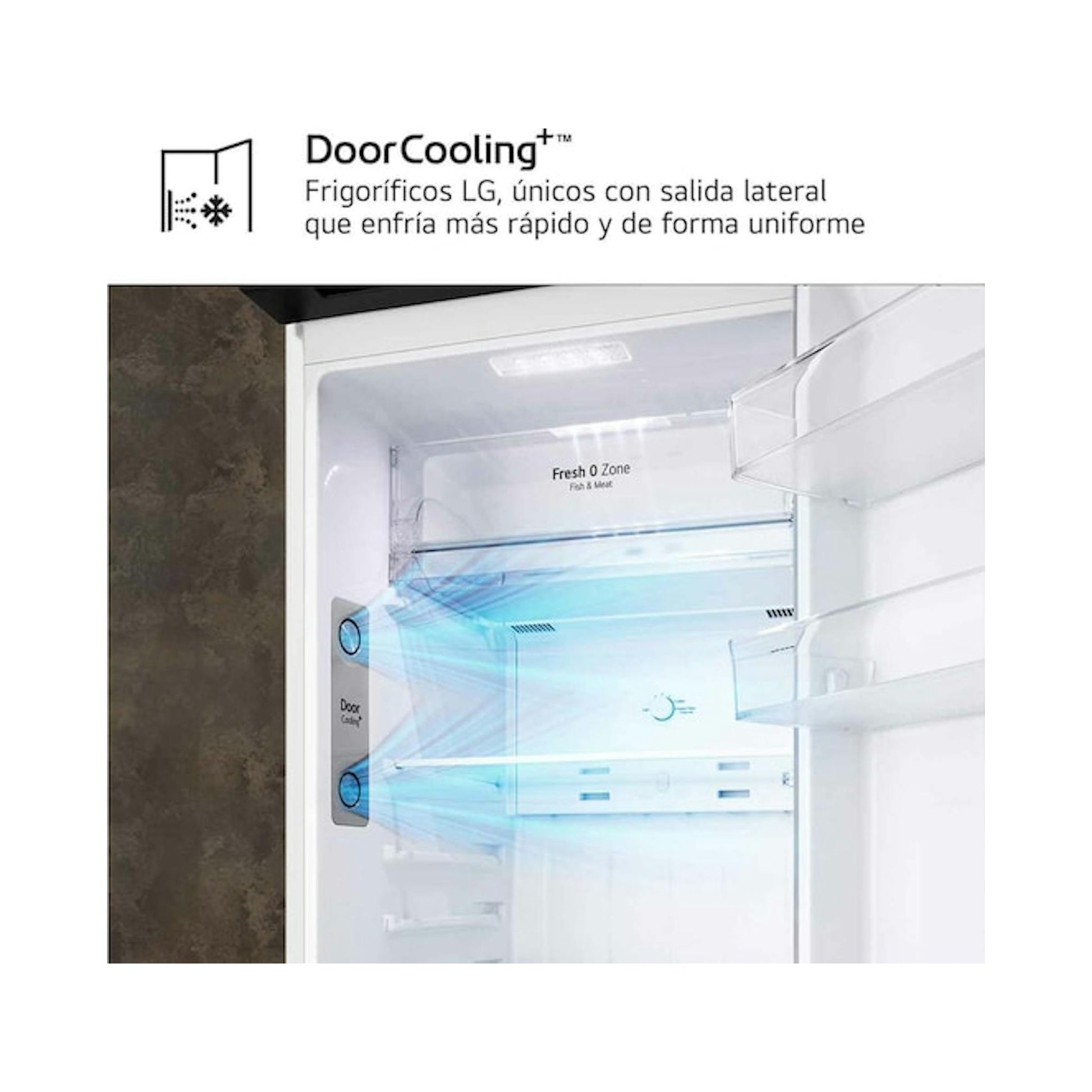 Interior de frigorífico LG GTBV20SWZJD blanco, con estantes y sistema DoorCooling visible