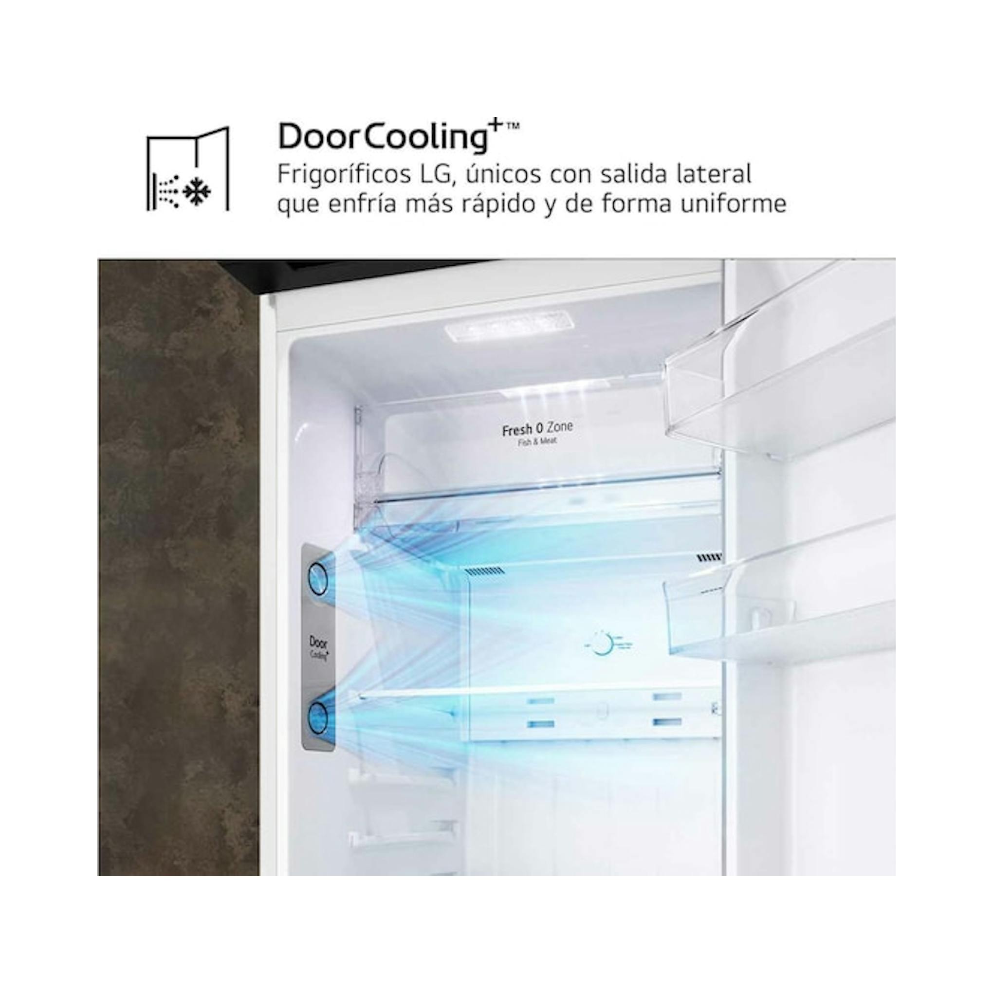 Interior de frigorífico LG GTBV20SWZJD blanco, con estantes y sistema DoorCooling visible