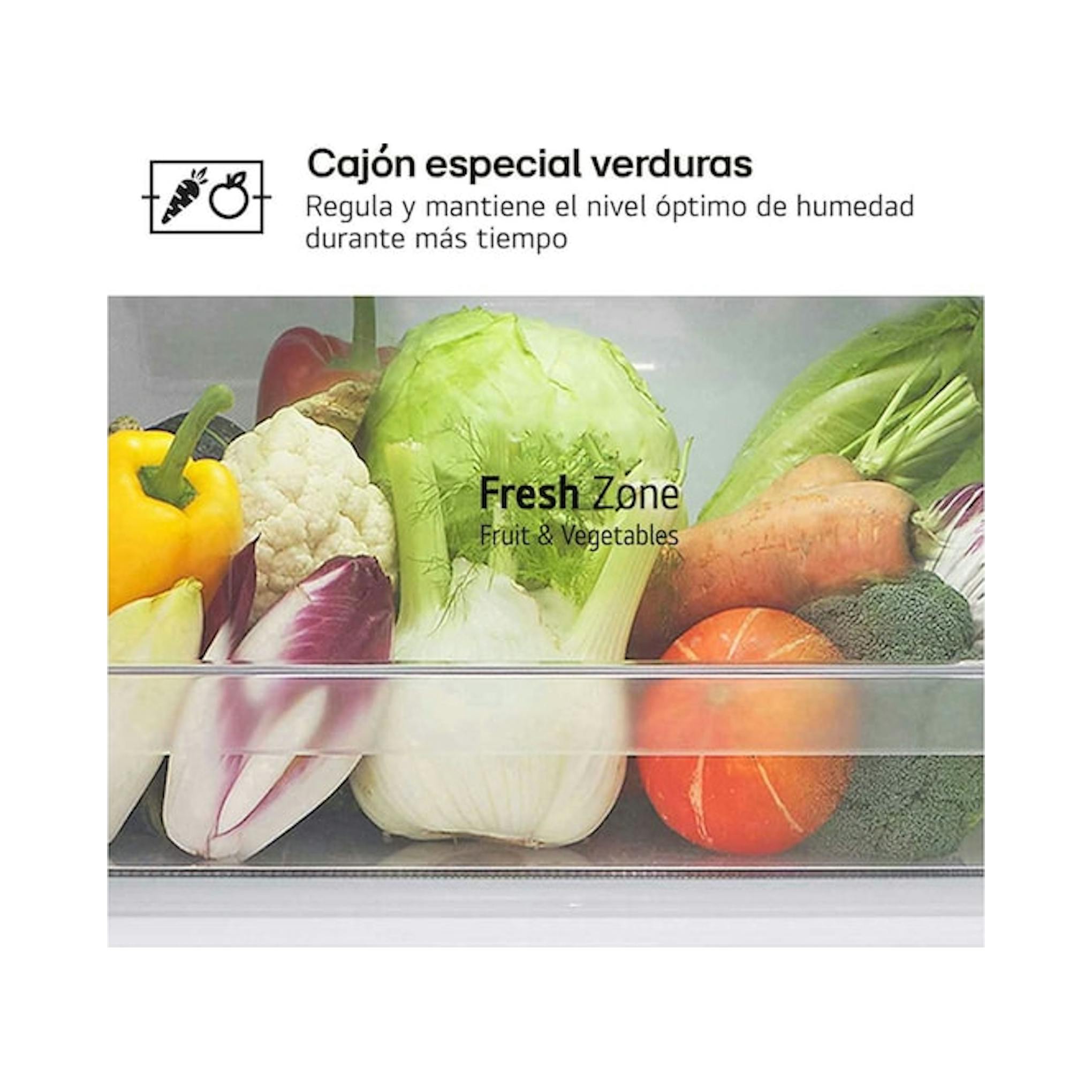 Cajón Fresh Zone de frigorífico LG GTBV20SWZJD con verduras