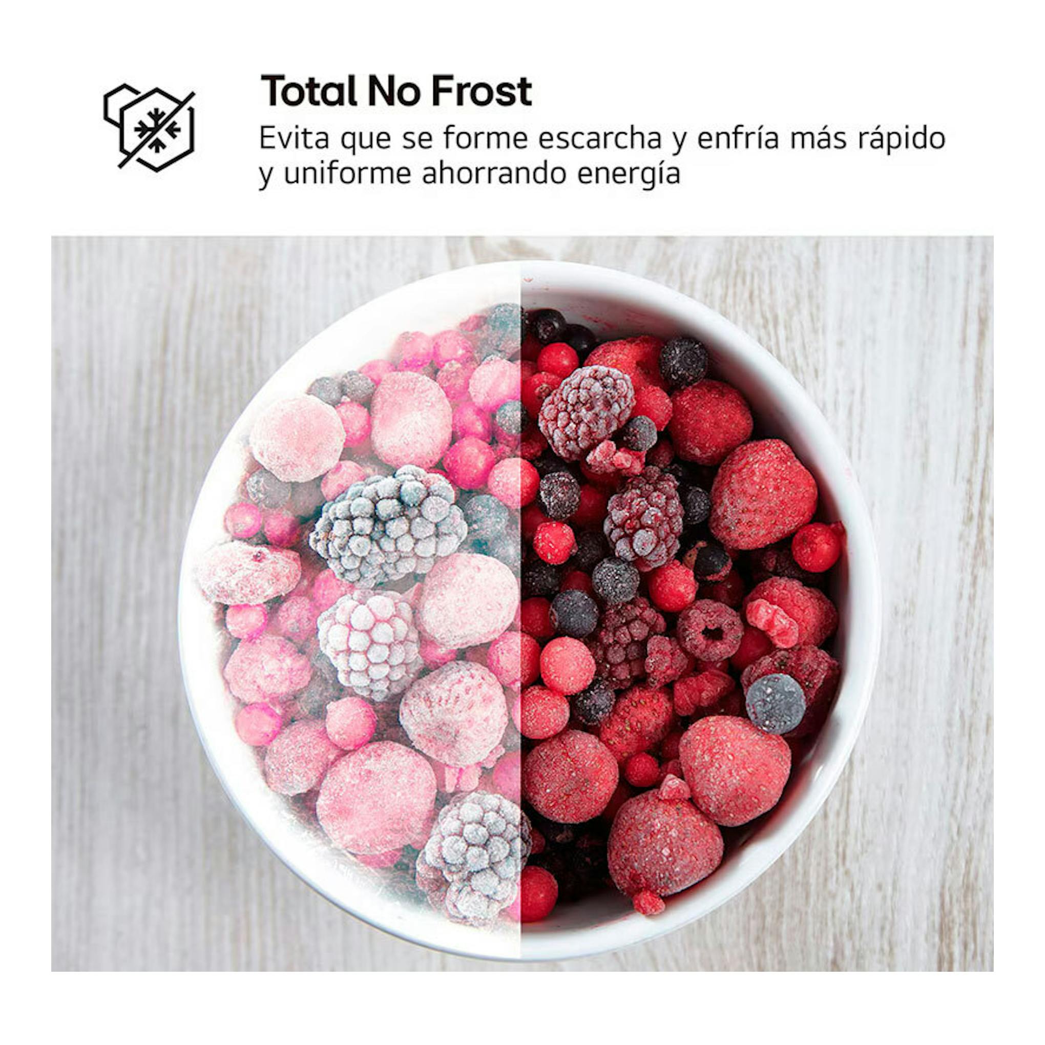 Gráfico promocional LG GTBV22PYNJ: bol de frutos rojos congelados, mitad con escarcha, sobre fondo claro.