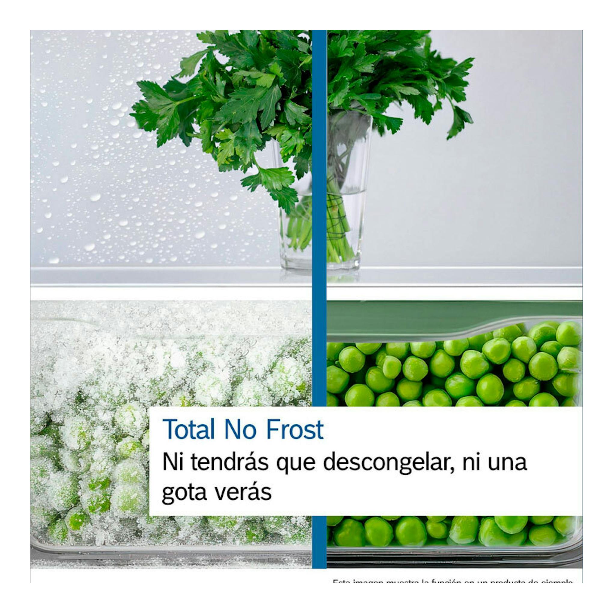 Bosch KGN36VIDB Inox, imagen promocional frontal de frigorífico combi con texto Total No Frost y cajón con guisantes.