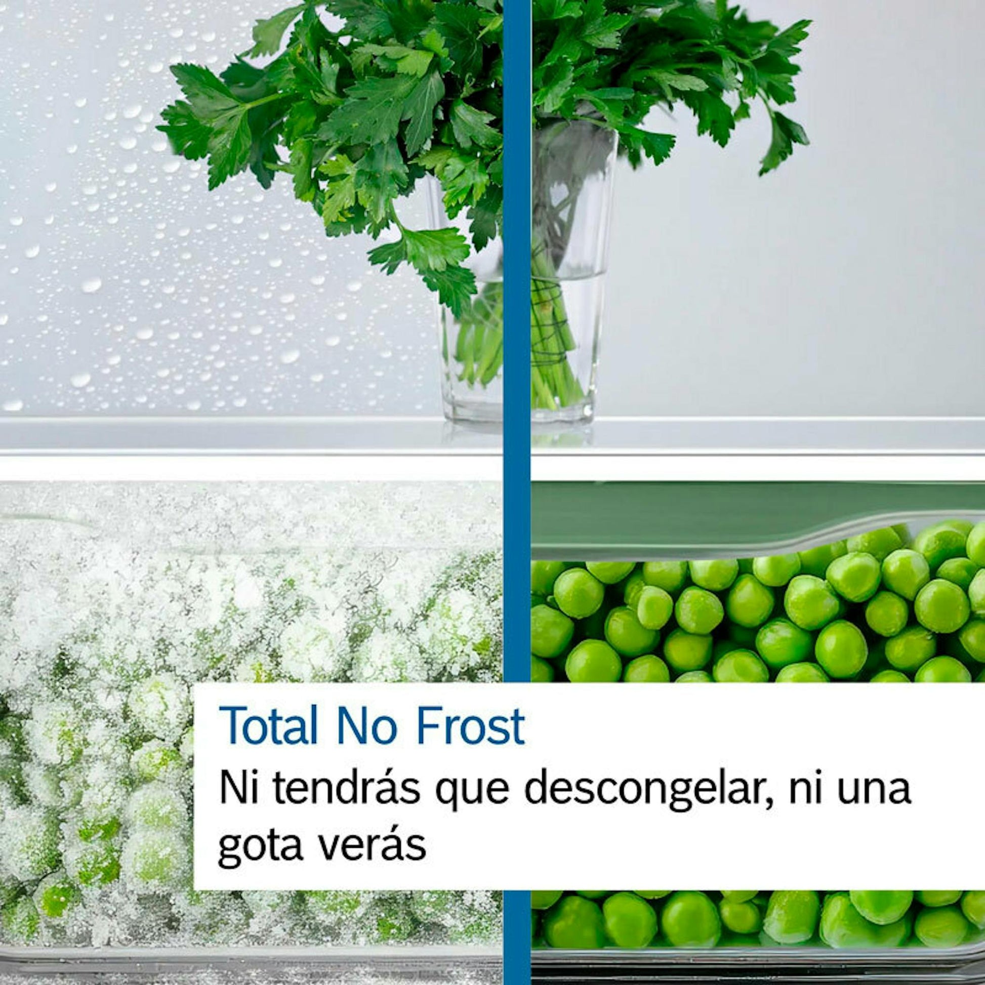 Bosch KGN392XCF: gráfico de Total No Frost con verduras y escarcha