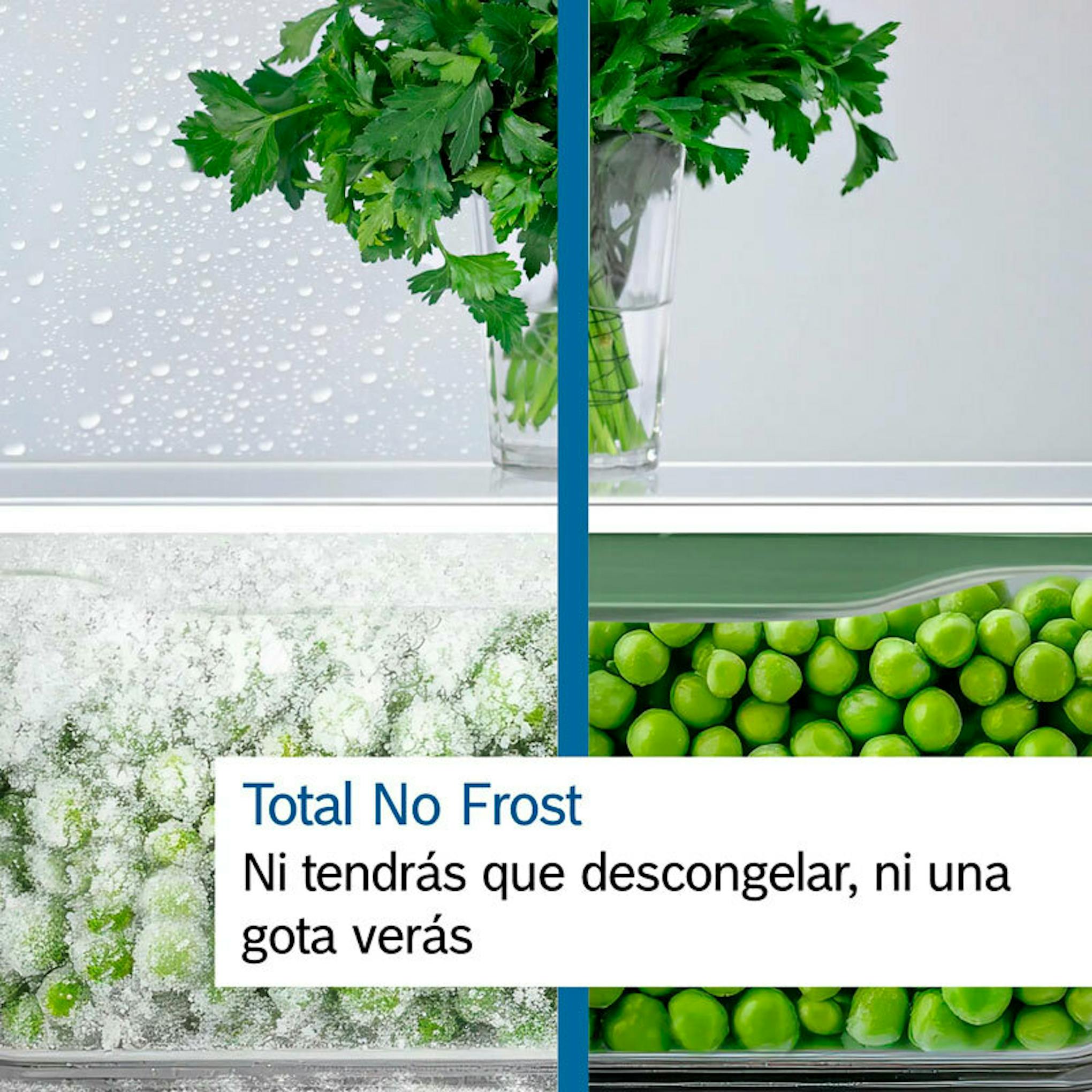 Bosch KGN392XCF: gráfico de Total No Frost con verduras y escarcha