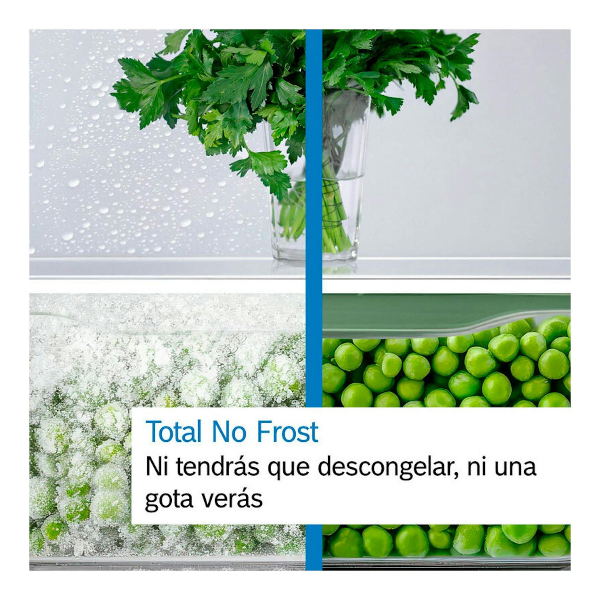 Bosch KGN39VIEB, frigorífico combi acero, imagen frontal promocional con texto Total No Frost y verduras congeladas.