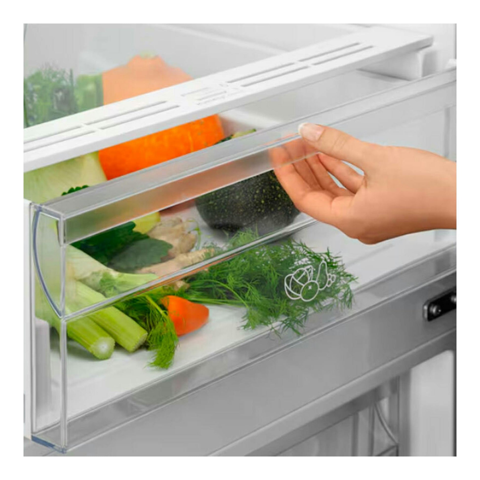 Frigorífico combi Electrolux LNT6ME36U inox, vista frontal de un cajón transparente con verduras y una mano abriéndolo.