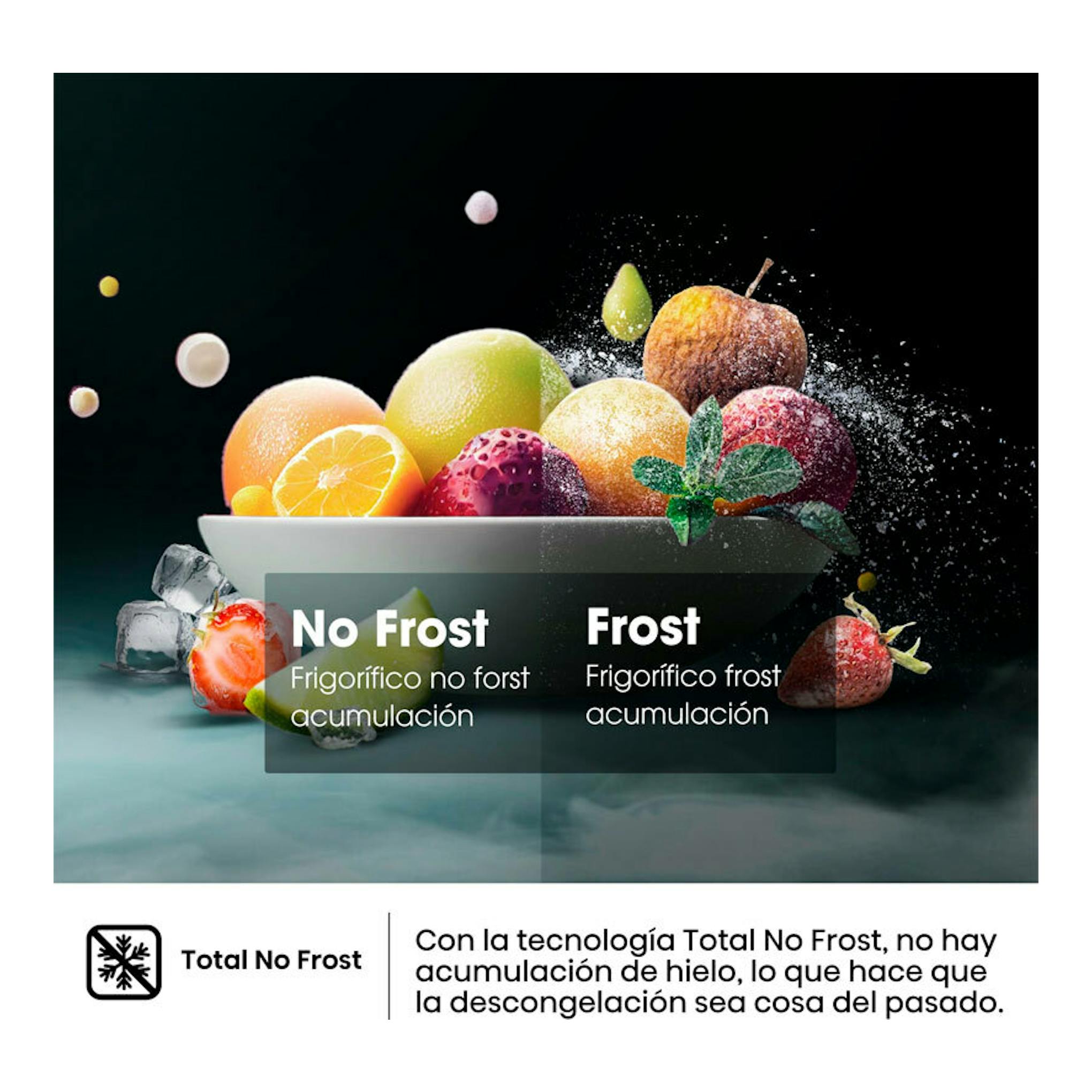 Gráfico promocional de frigorífico combi Hisense RB329N4AWE con frutas y comparación No Frost/Frost.