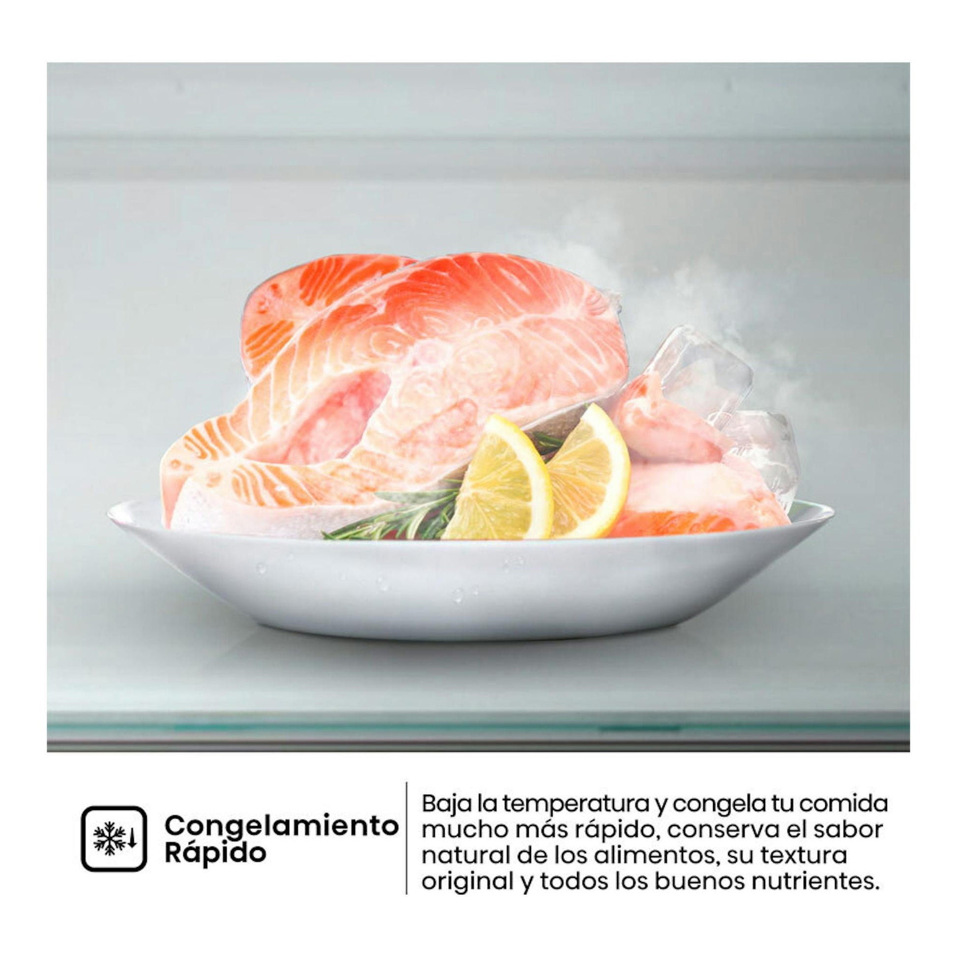 Hisense RB390N4AWE1: interior de frigorífico con plato de salmón y limón, junto a texto de «Congelamiento rápido».