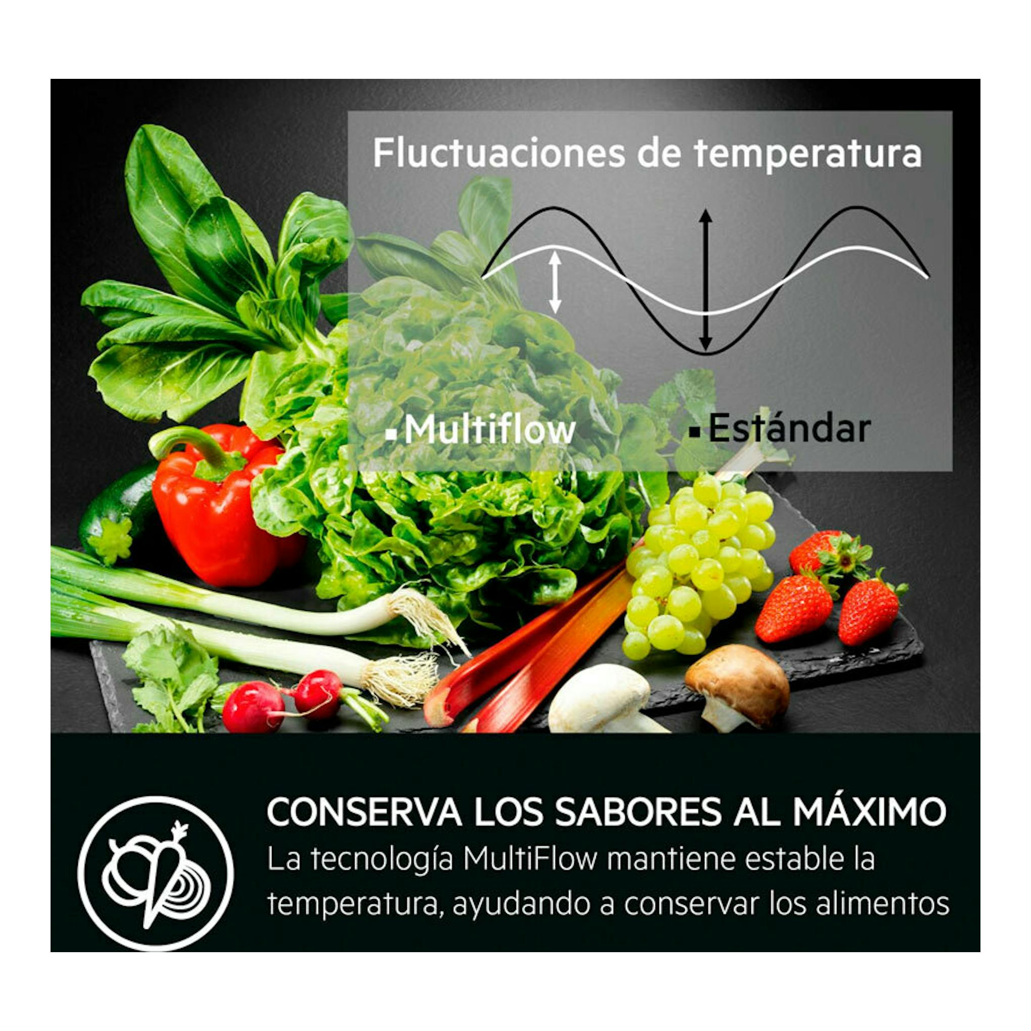 AEG TC6MS19FES, gráfico frontal con verduras y texto sobre fluctuaciones de temperatura y tecnología MultiFlow.