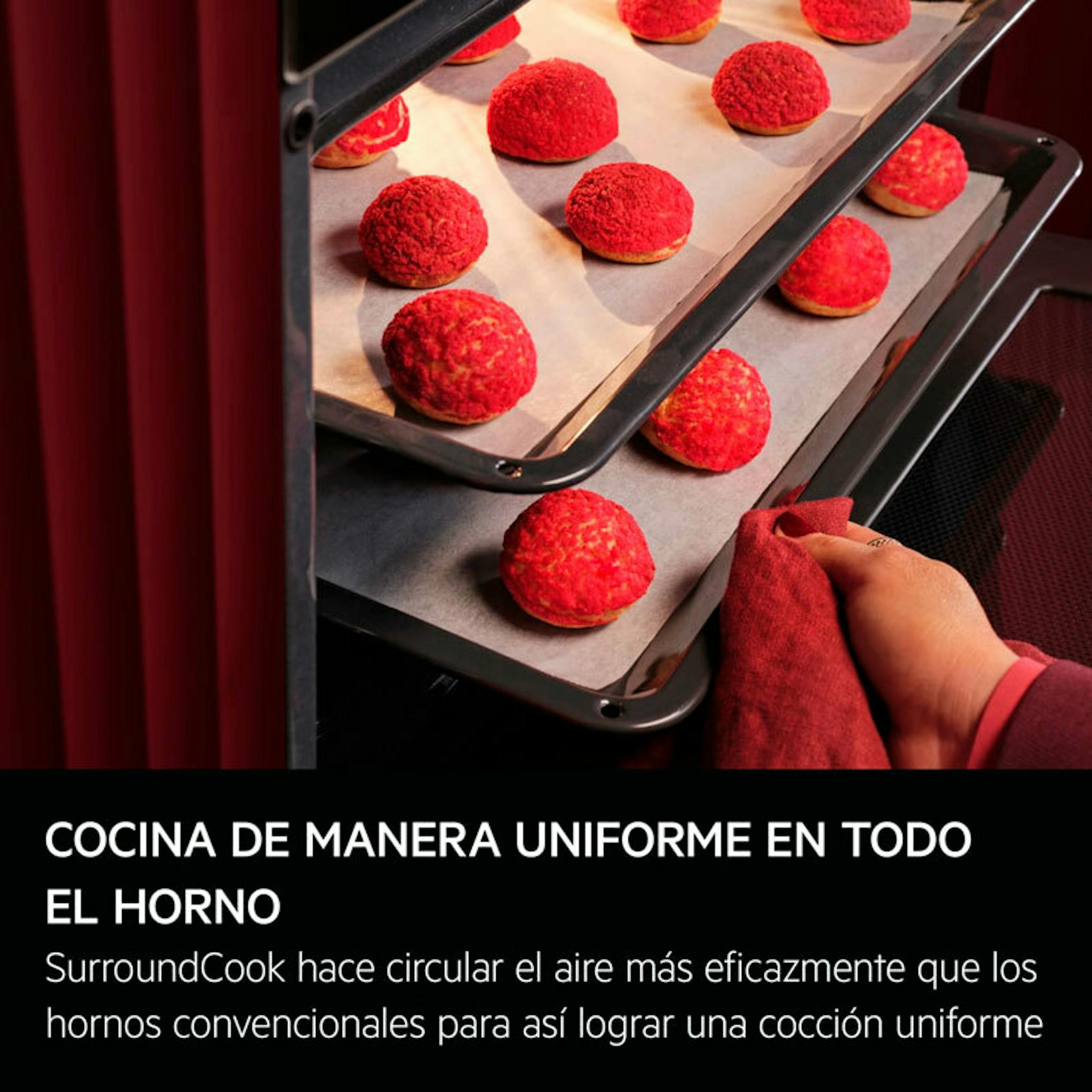 Interior del horno AEG GU5PB43FSM Inox con bandejas de repostería