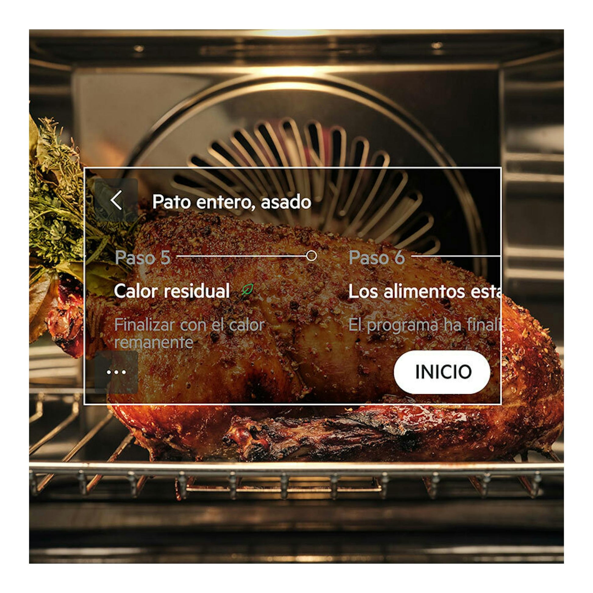 Horno AEG TE8PB731AB de cristal negro, vista frontal del interior con un pato asado en la bandeja.