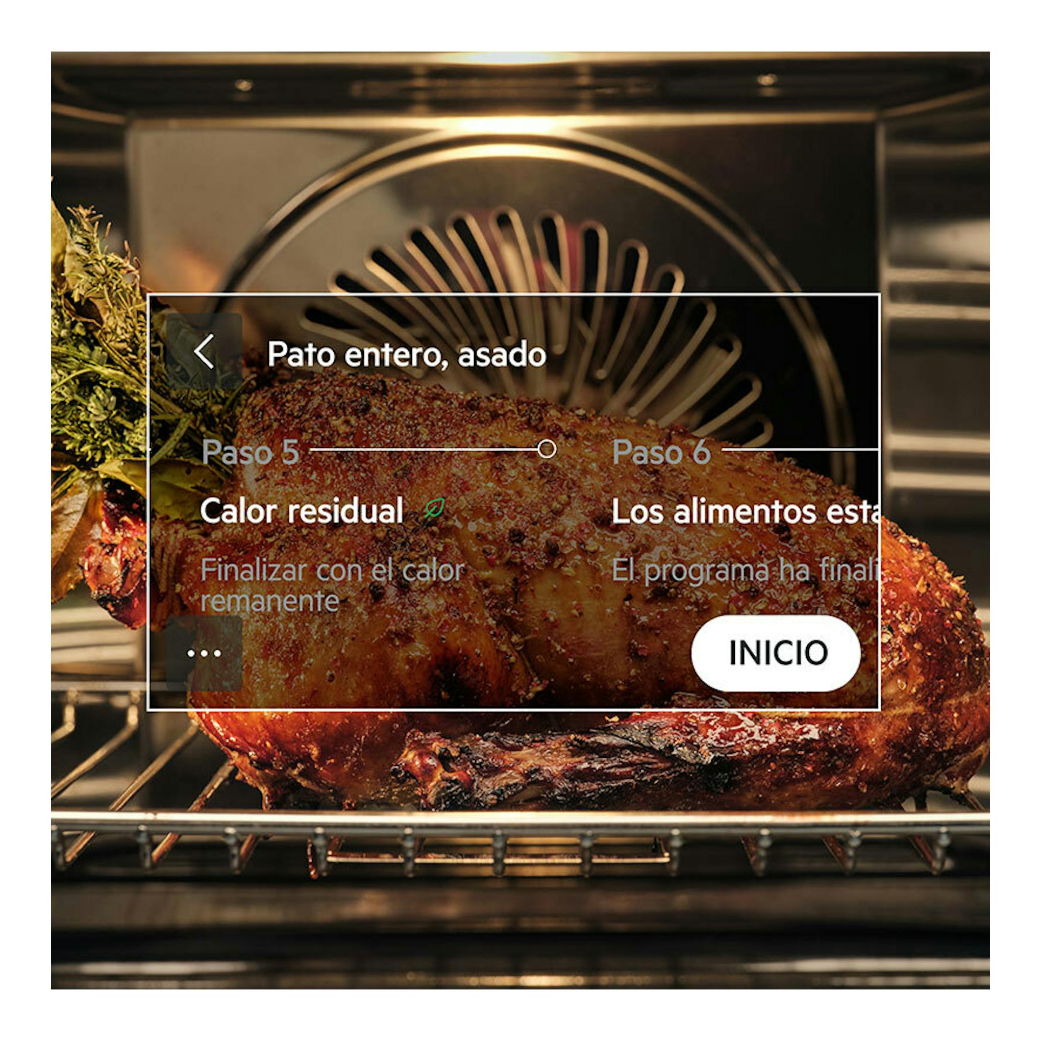 Horno AEG TE8PB731AB de cristal negro, vista frontal del interior con un pato asado en la bandeja.