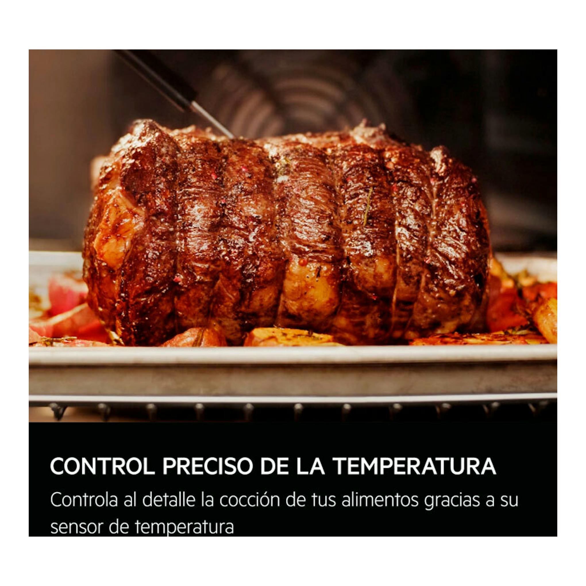 Vista frontal del horno AEG TE8PB731AB, con asado de carne y texto sobre control de temperatura