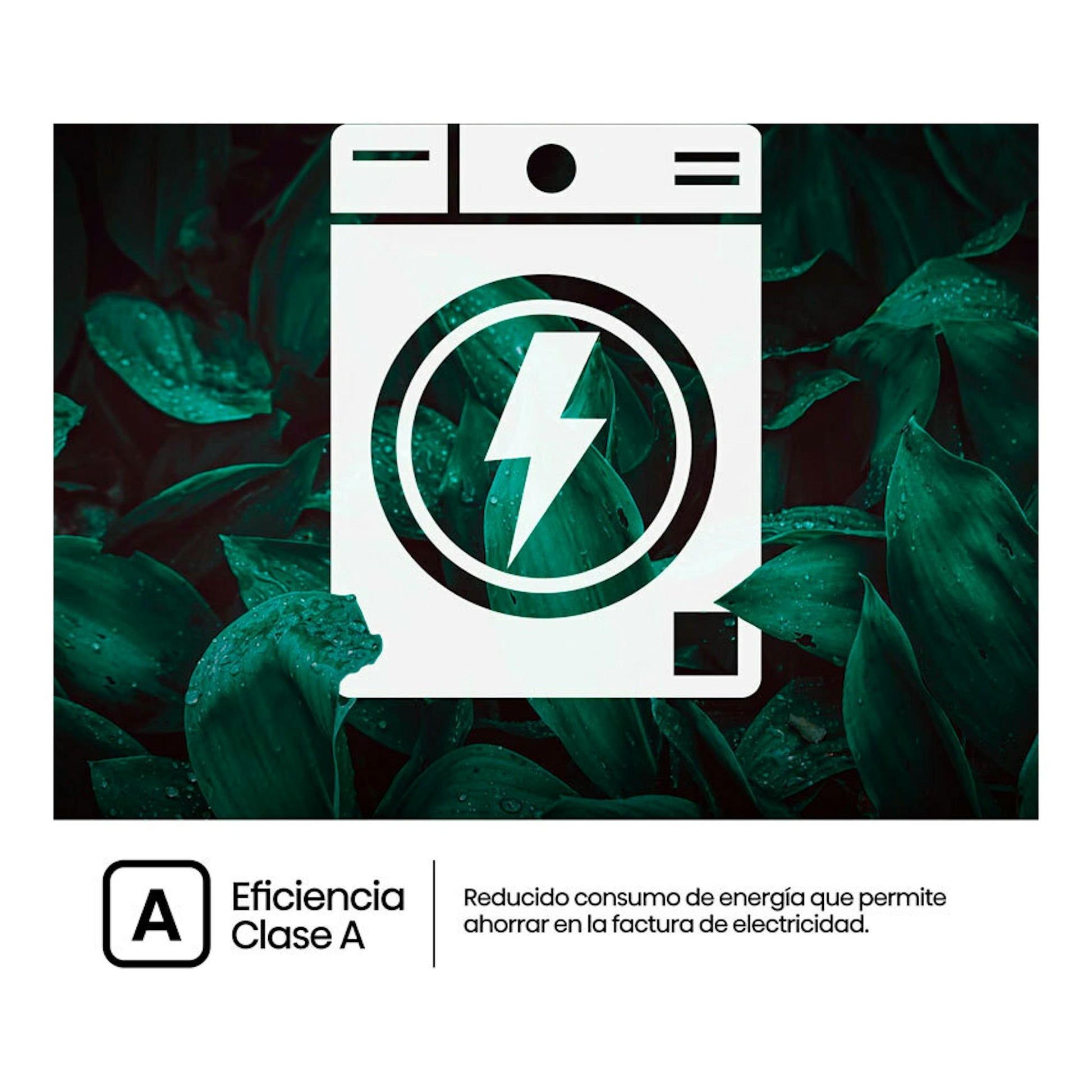 Icono de lavadora blanca Hisense WF3M841BWIES con símbolo de eficiencia clase A sobre fondo de hojas.