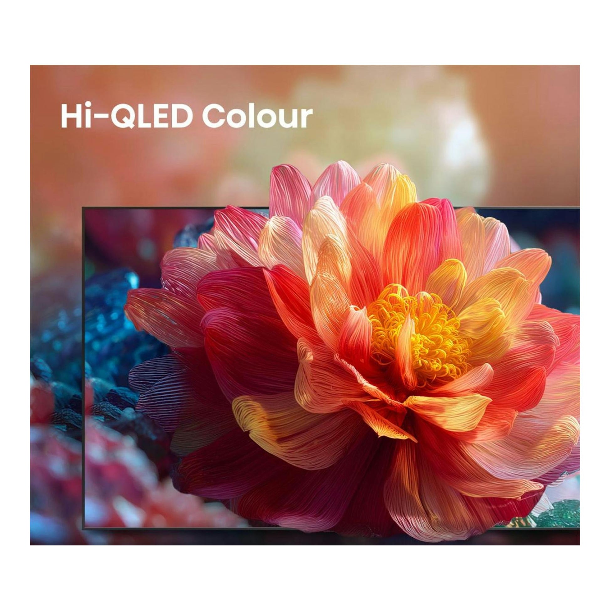 Televisor Hisense 55Q7S en vista frontal, con una flor multicolor en pantalla y el texto “Hi-QLED Colour”.