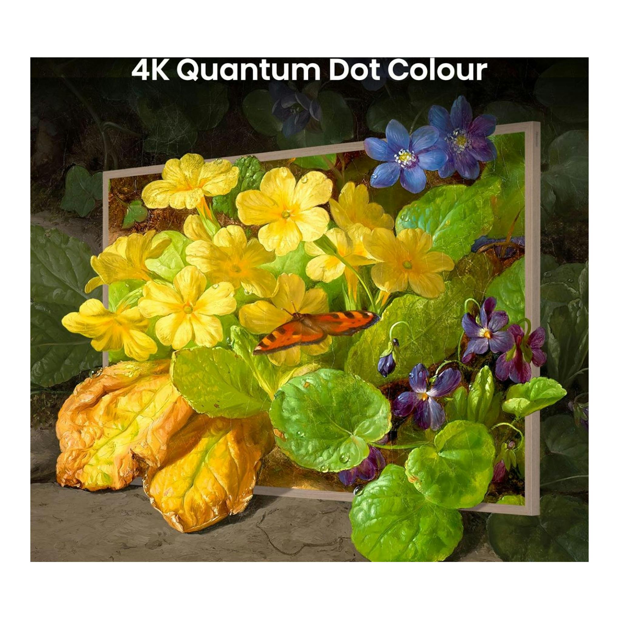 Vista frontal de un televisor Hisense 55S7NQ con flores y mariposa; texto “4K Quantum Dot Colour”.