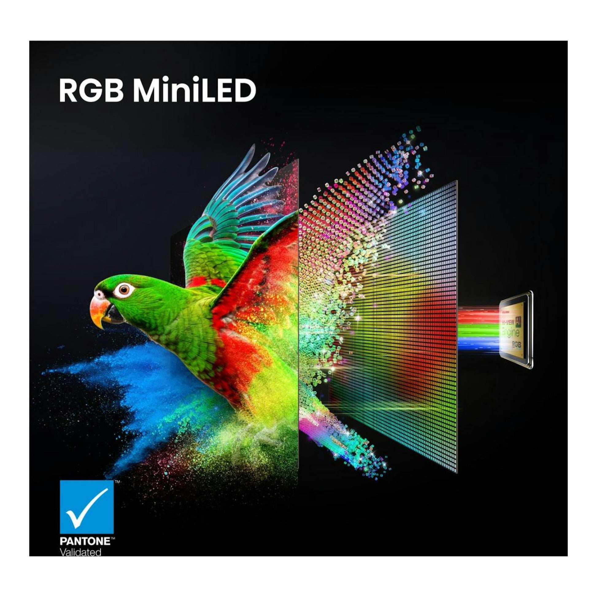 Hisense 55UR8S: ilustración RGB MiniLED con loro multicolor, panel de píxeles y sello Pantone Validated.