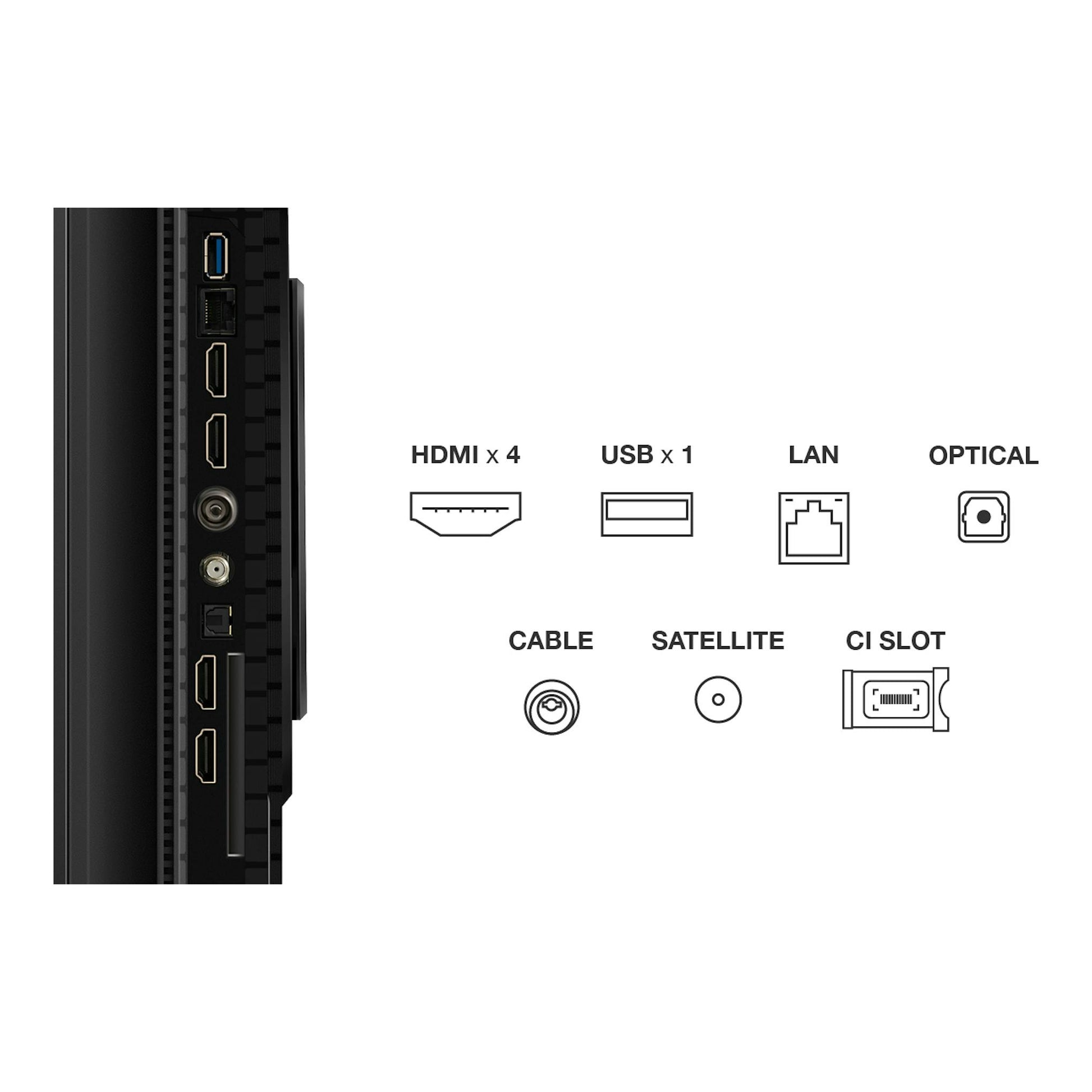 TCL 55P8K, vista lateral trasera con puertos HDMI, USB, LAN, óptico, cable, satélite y CI Slot.