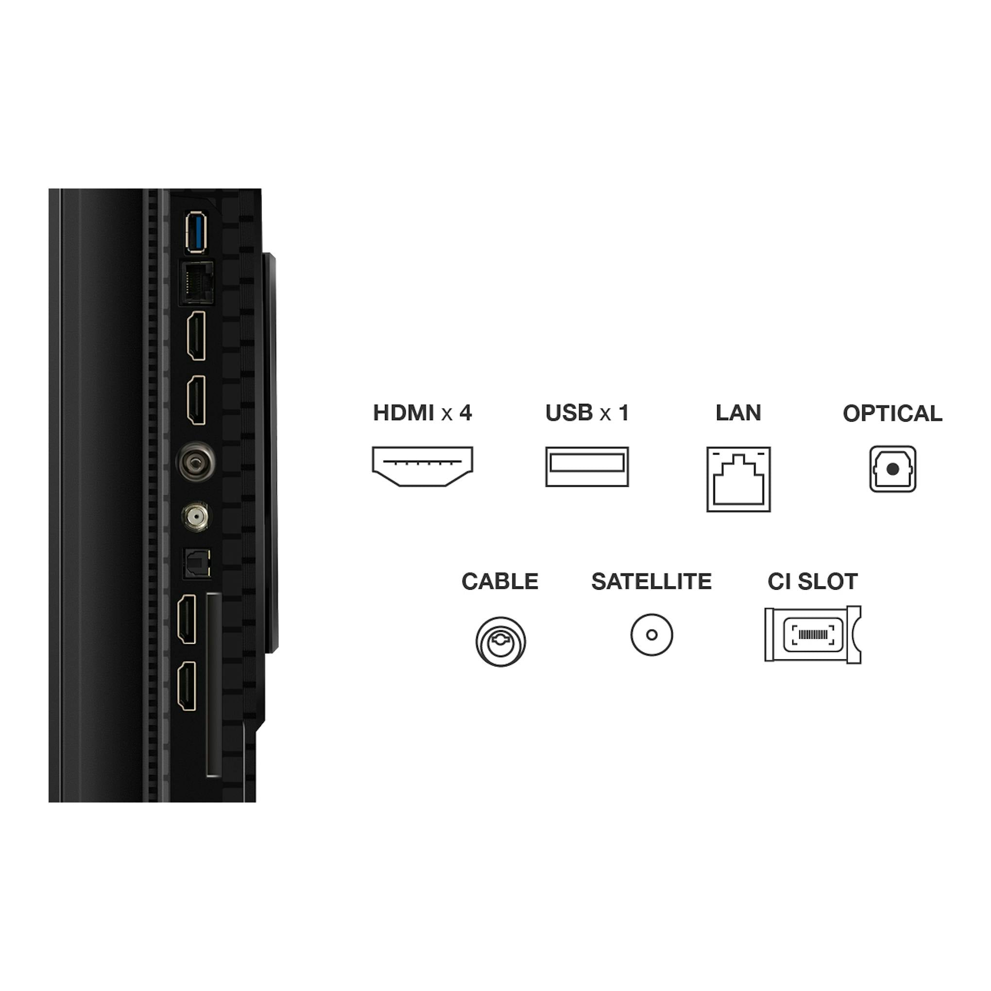 TCL 55P8K, vista lateral trasera con puertos HDMI, USB, LAN, óptico, cable, satélite y CI Slot.