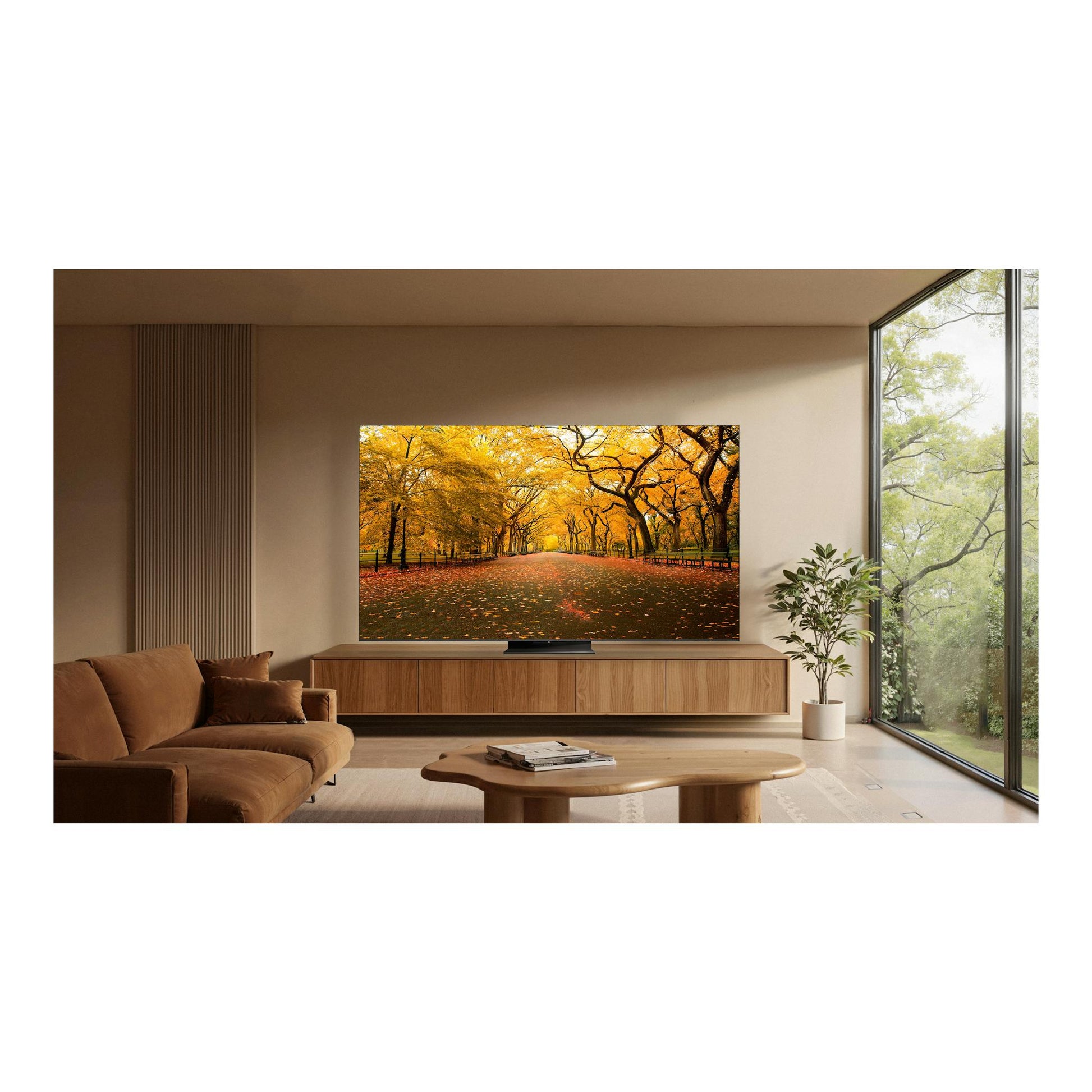 TV TCL 75C8L de 75 pulgadas, vista frontal en salón, con imagen de parque otoñal en la pantalla.