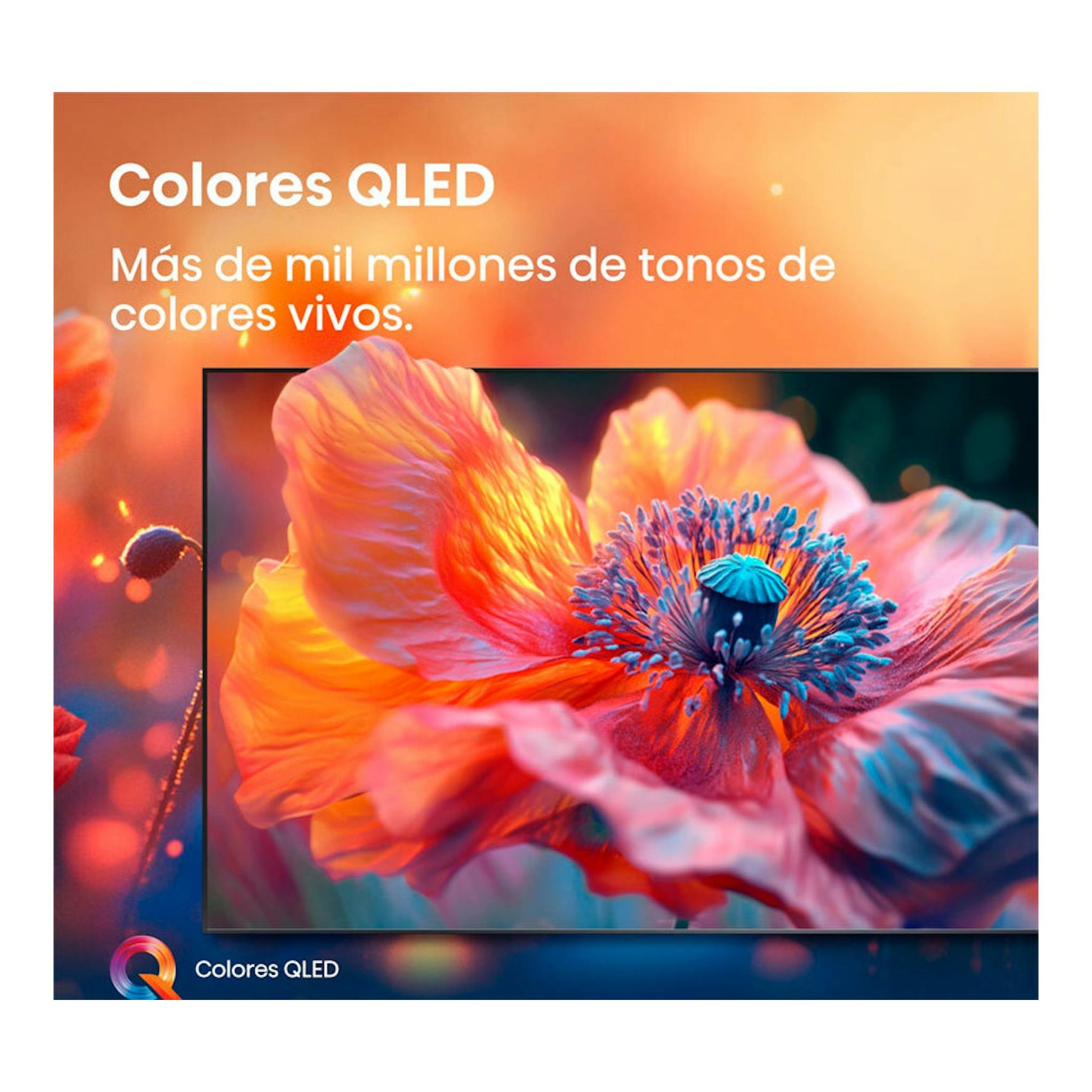 Hisense 43E77Q QLED 4K de 43", vista frontal con flor de colores en pantalla y texto "Colores QLED".