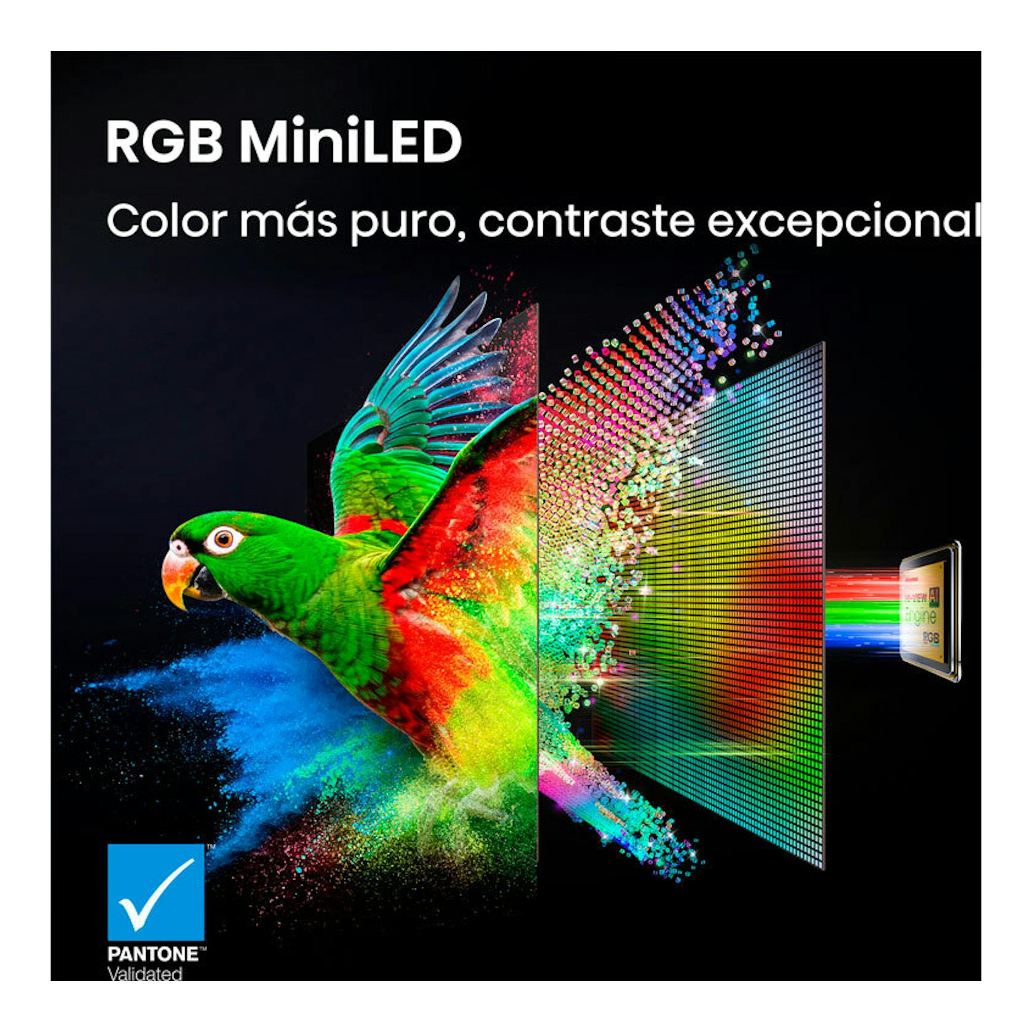 Hisense 65UR9S MiniLED RGB: loro multicolor y panel de píxeles, fondo negro, logo Pantone Validated.