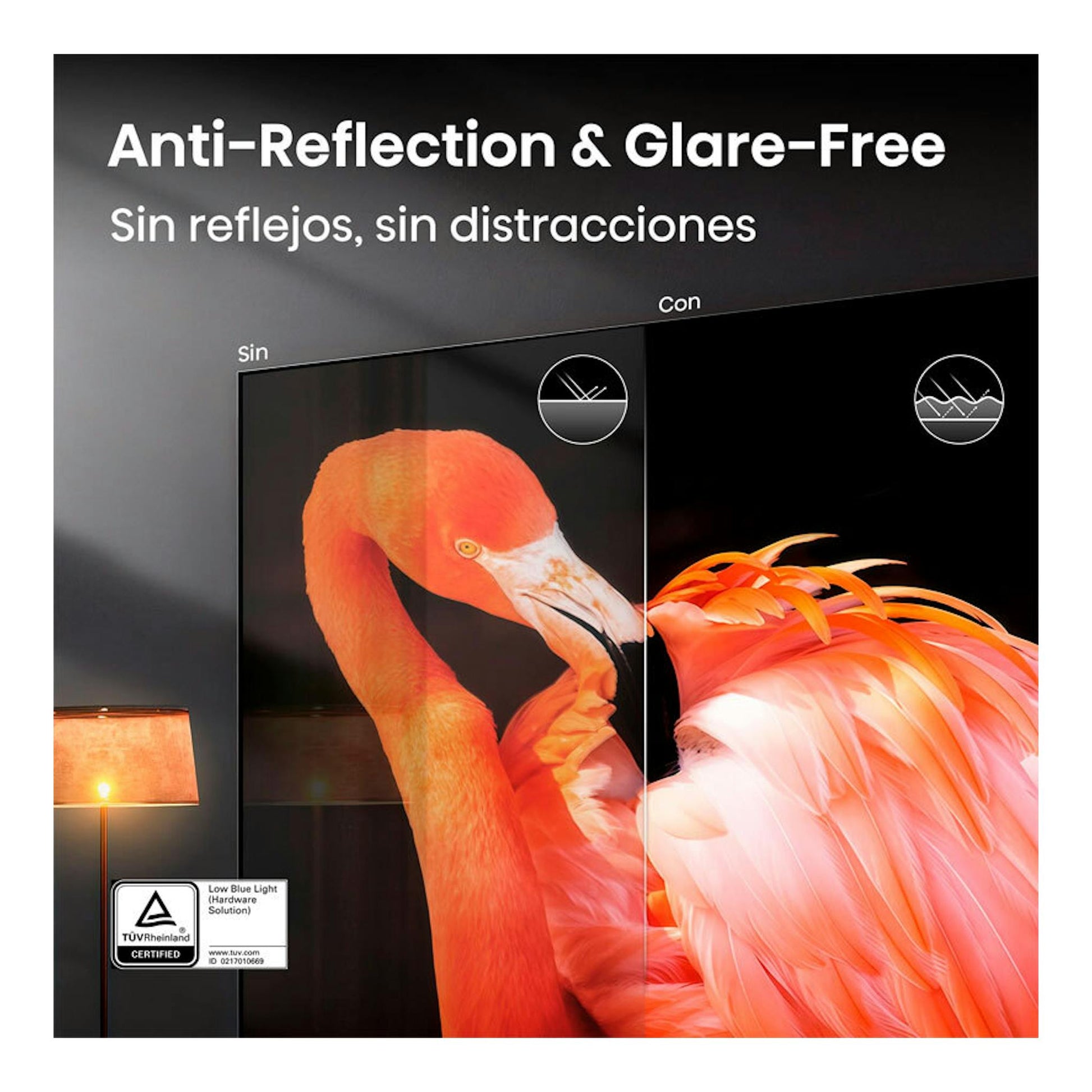 Hisense 65UR9S, vista frontal, imagen comparativa anti-reflejos con un flamenco naranja en pantalla.