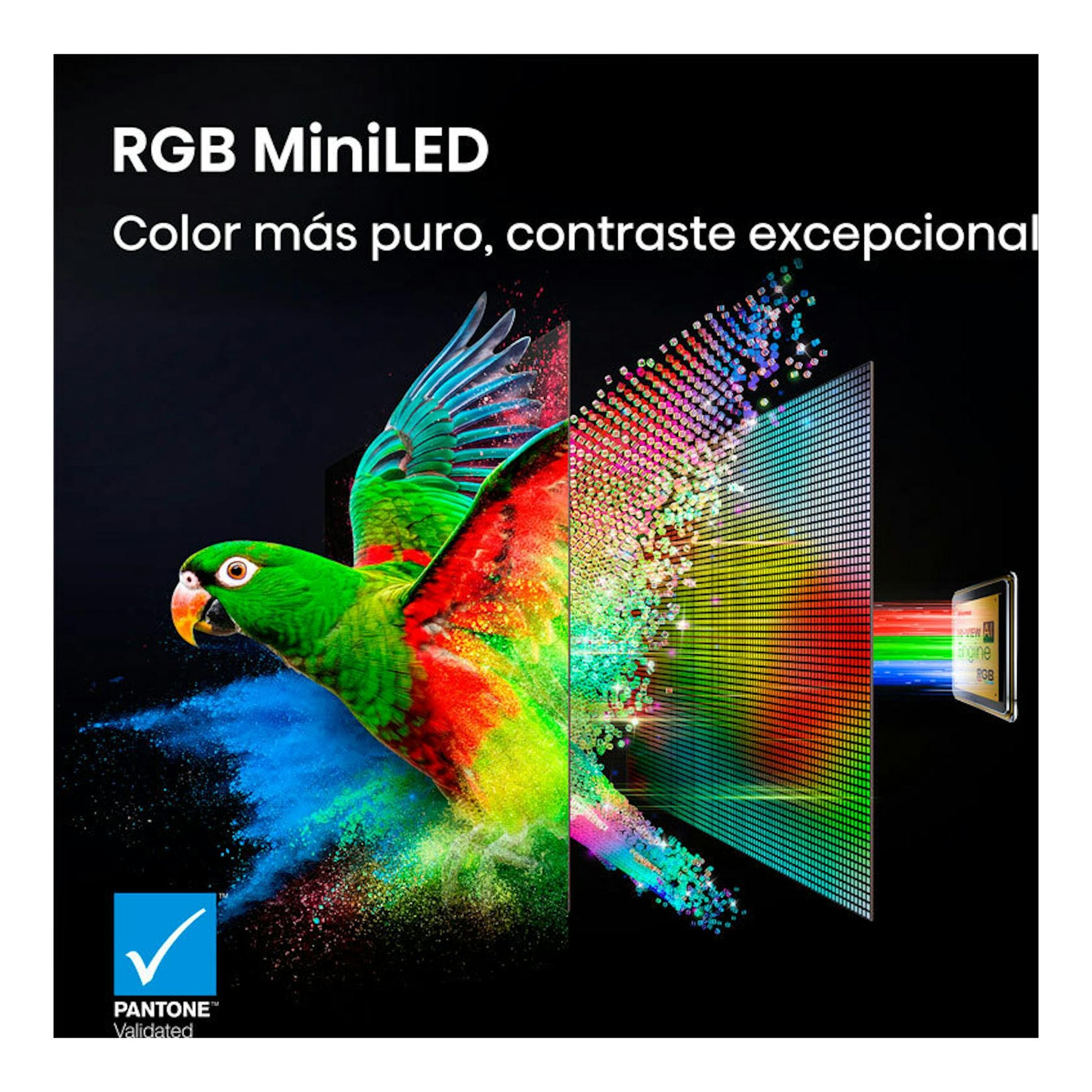 Hisense 75UR9S MiniLED RGB: loro multicolor, panel de colores y sello Pantone Validated.