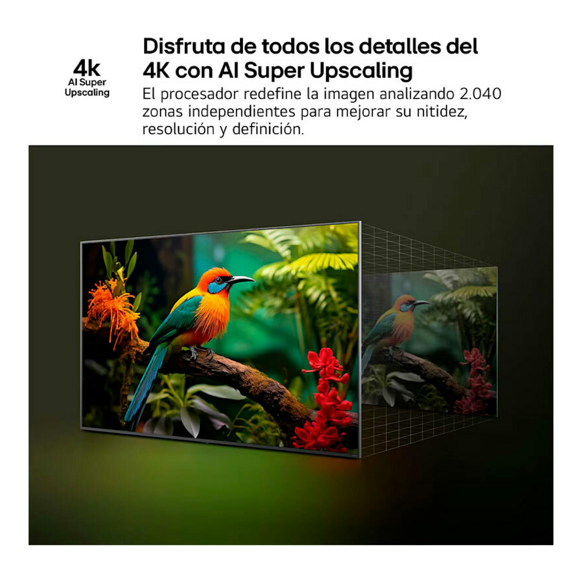 Pantalla frontal de un TV LG 43NANO81A6A mostrando un loro colorido y el texto 4K AI Super Upscaling.