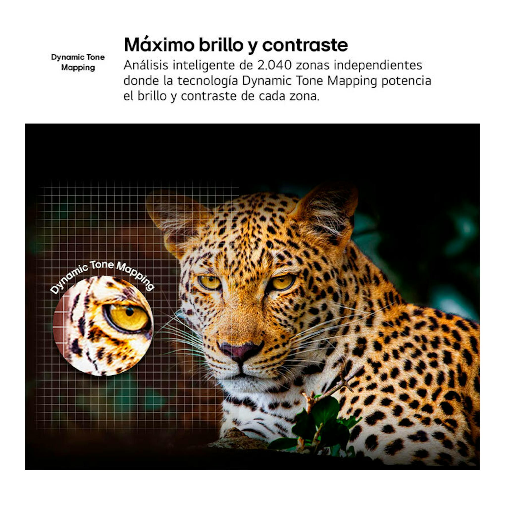 Gráfico promocional de LG 50QNED82A6B con leopardo y texto sobre Dynamic Tone Mapping