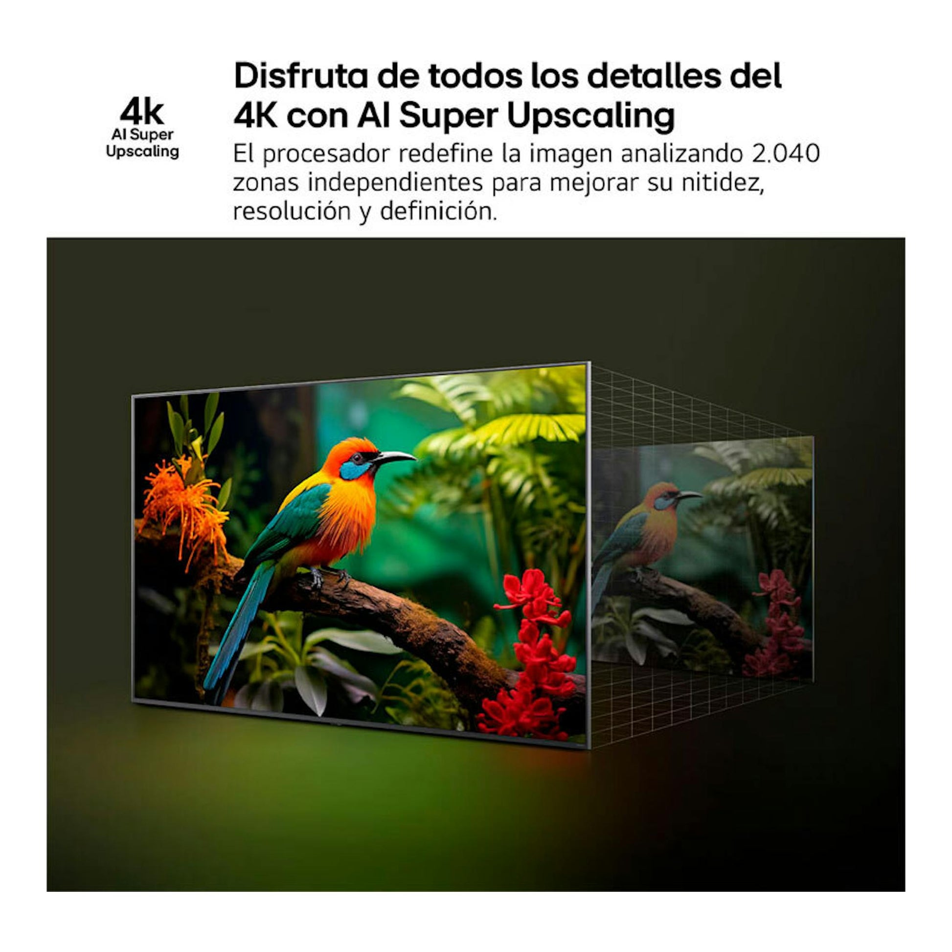 LG 65NANO81A6A: gráfica promocional de TV 4K LED en vista frontal, con un ave colorida y texto sobre AI Super Upscaling.