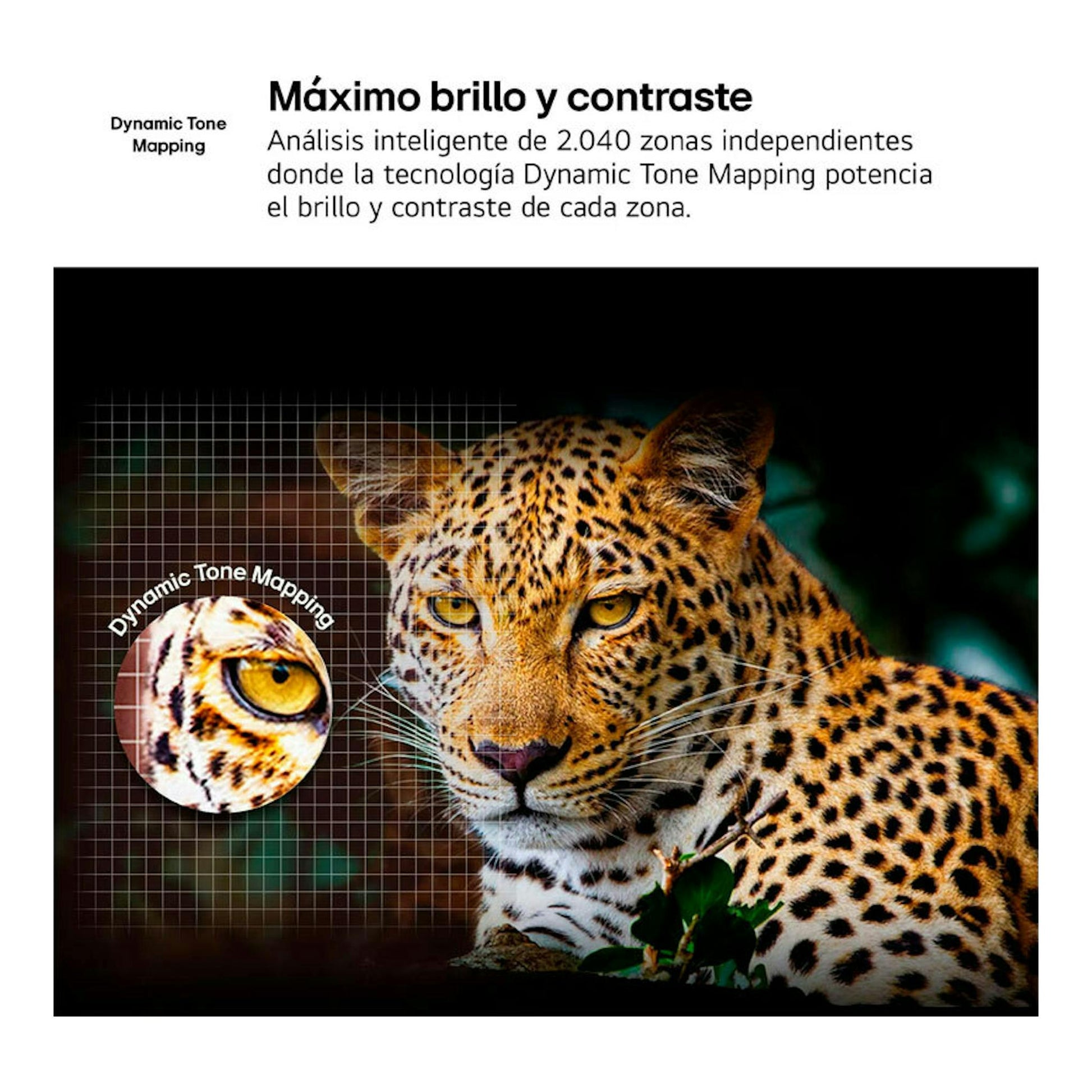 LG 65UA75006LA.AEU: gráfico frontal con leopardo y texto sobre Dynamic Tone Mapping y contraste.
