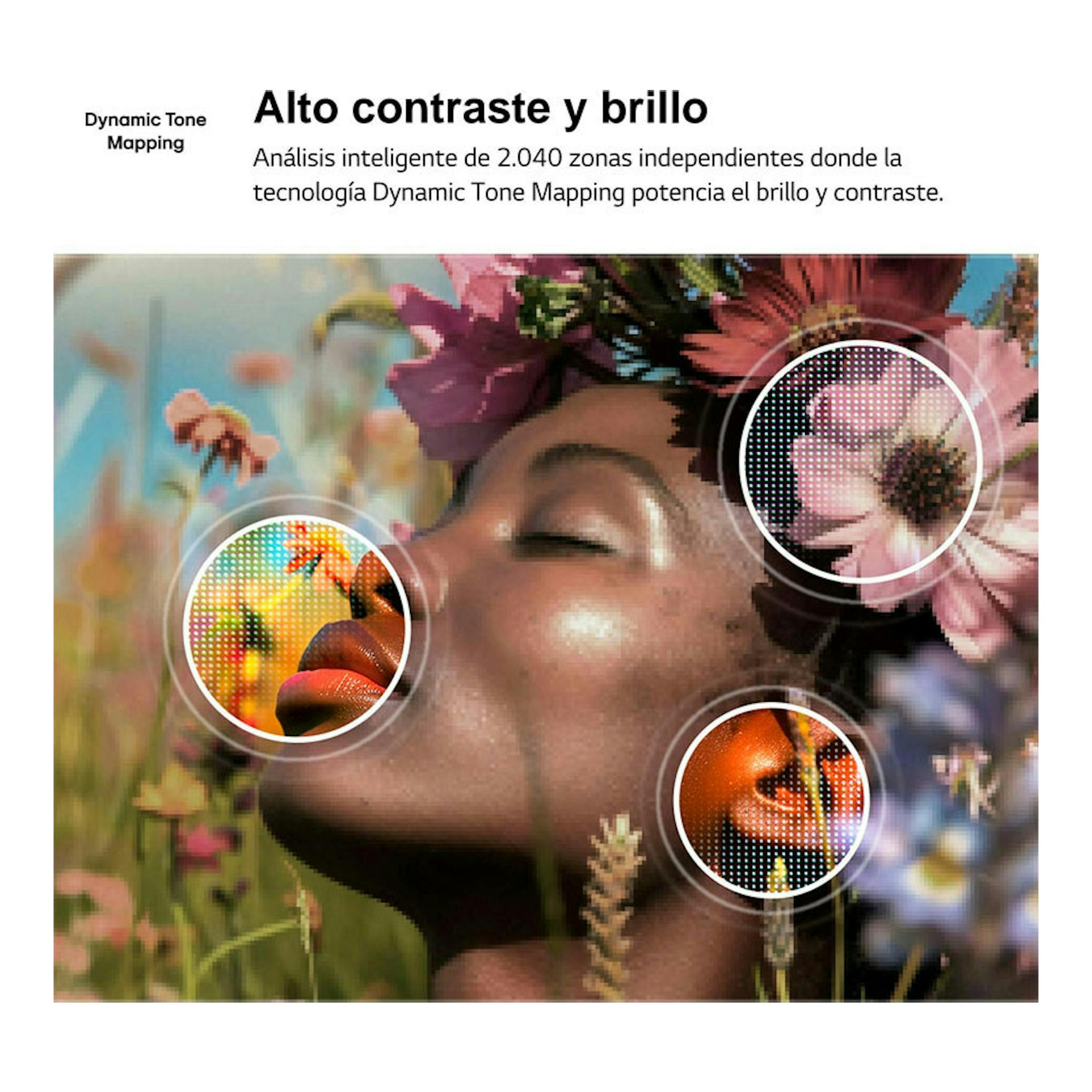 Infografía de LG sobre Dynamic Tone Mapping, con texto de alto contraste y una mujer entre flores.