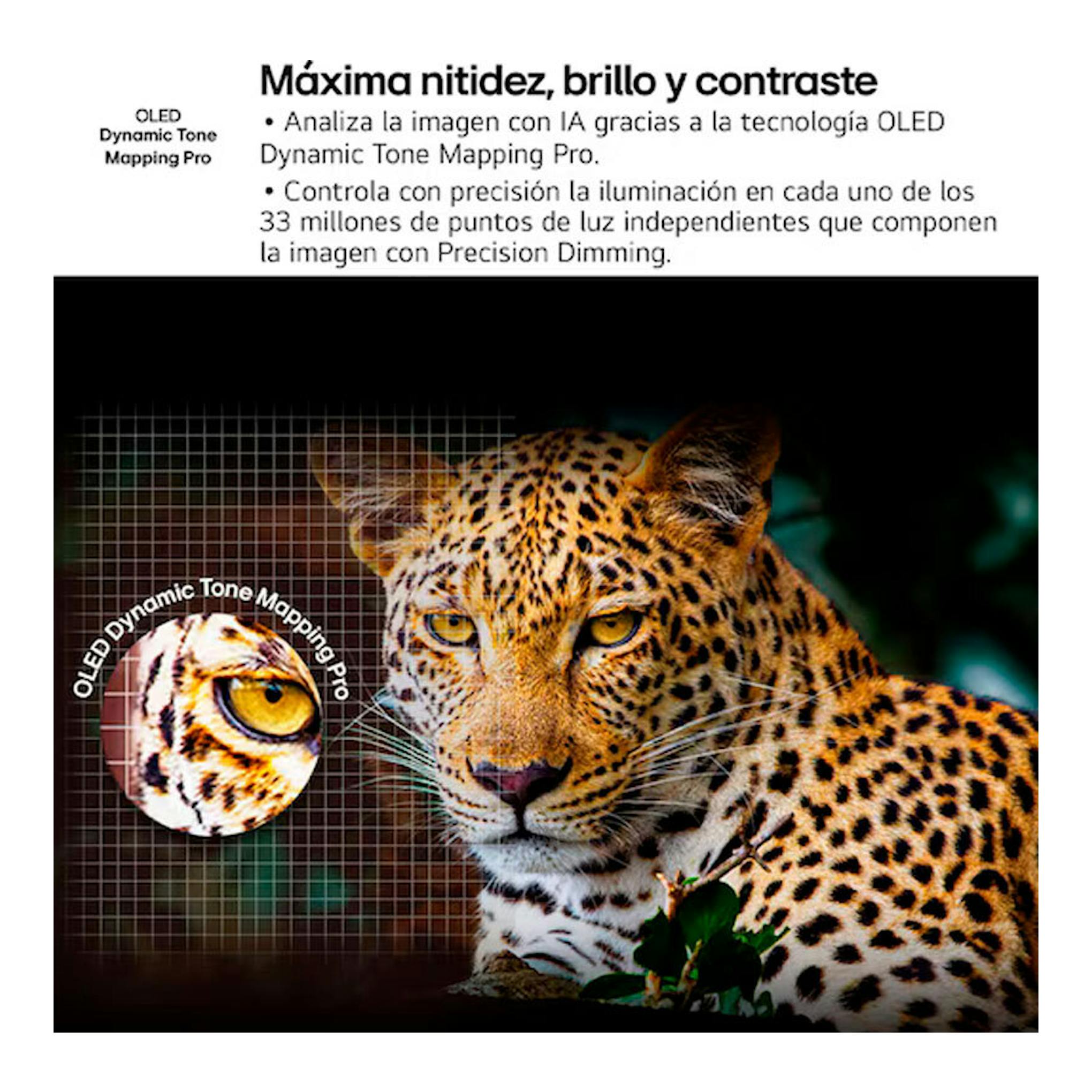 Gráfico promocional de LG OLED55B56LA con leopardo y texto sobre OLED Dynamic Tone Mapping Pro.