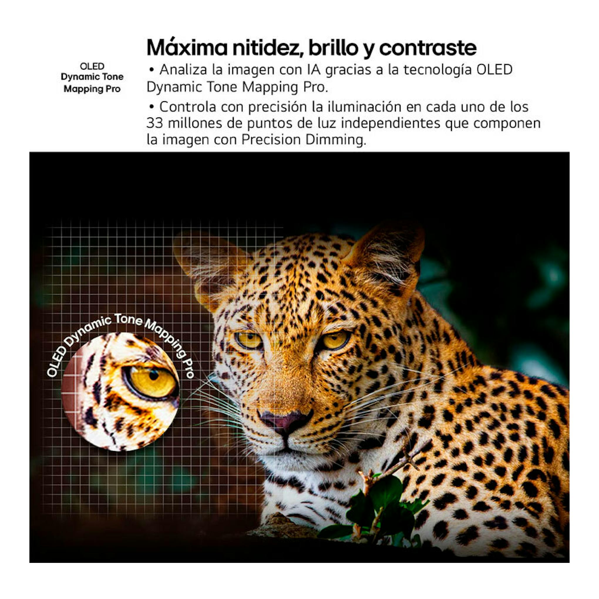 LG OLED65C54LA: imagen promocional con un leopardo y texto sobre OLED Dynamic Tone Mapping Pro.