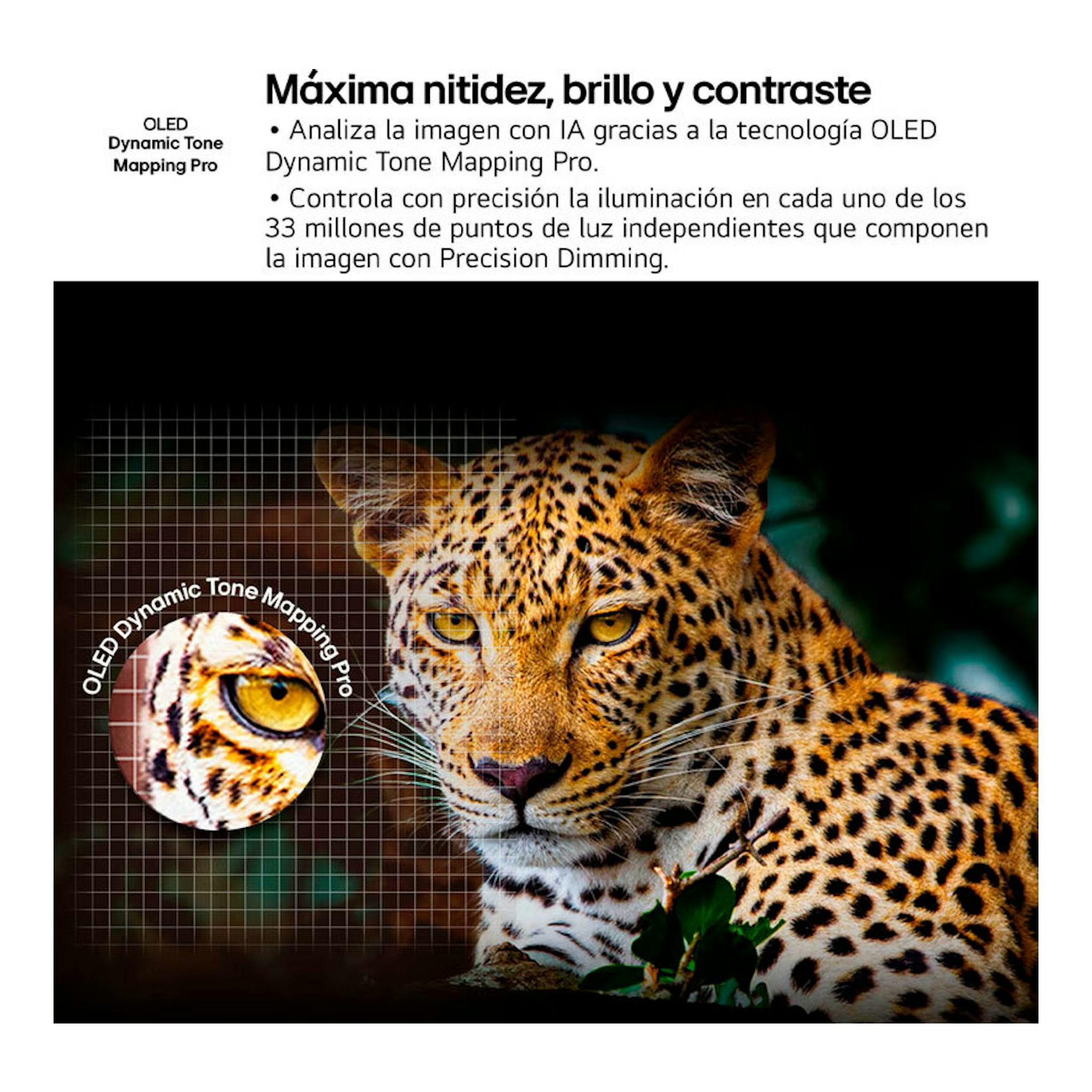 Gráfico de LG OLED77G54LW con leopardo y texto sobre OLED Dynamic Tone Mapping Pro.