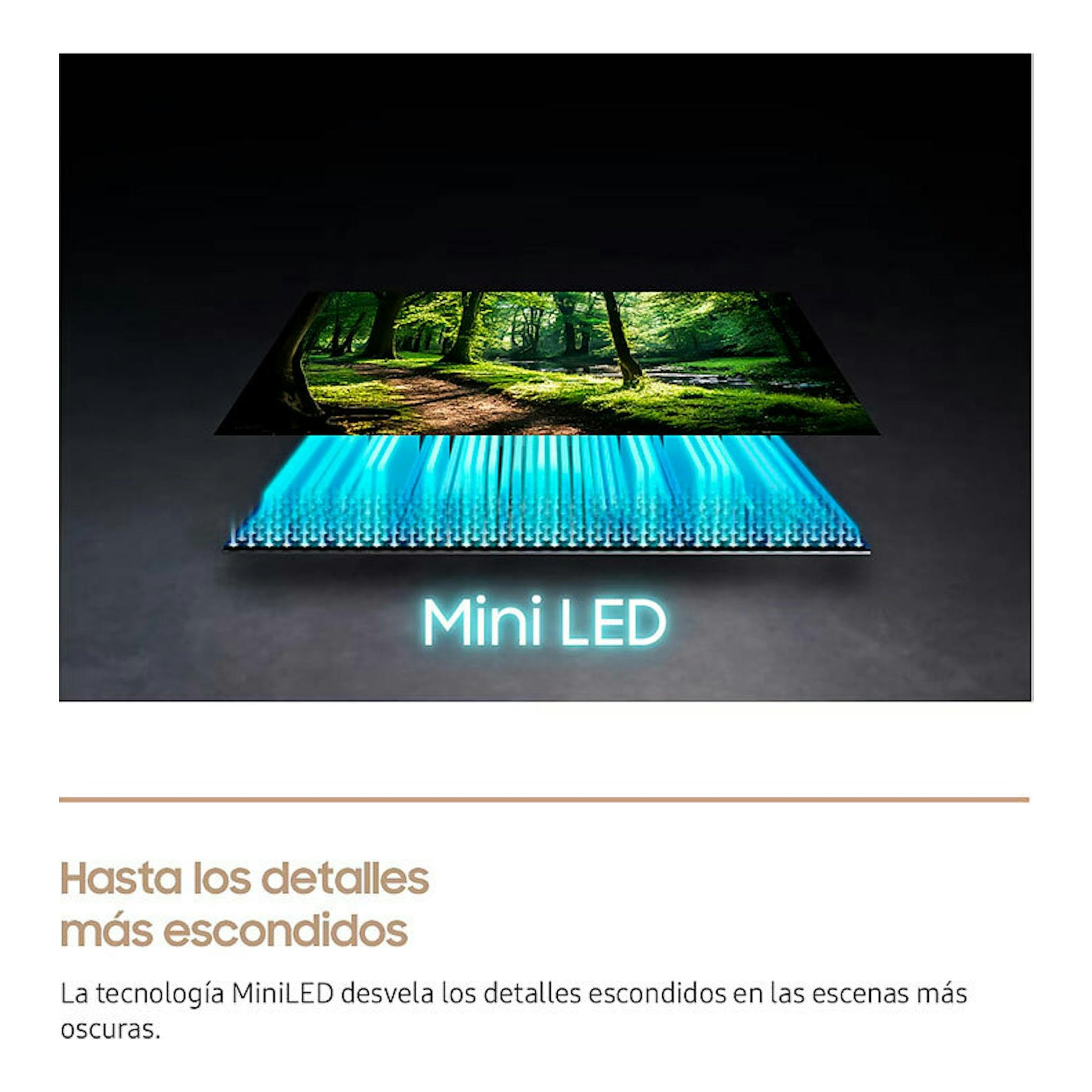 Samsung TQ65LS03FWUXXC NeoQLED 4K 65", ilustración de pantalla Mini LED con paisaje y texto.