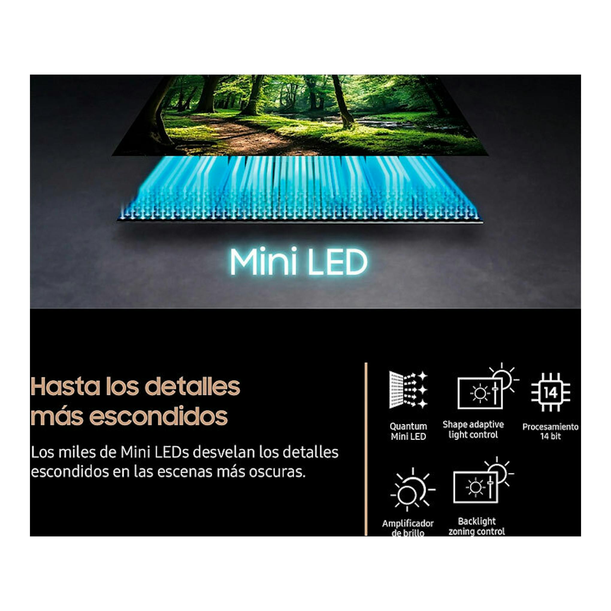 Samsung TQ75QN70FAUXXC NeoQLED 4K, infografía frontal de Mini LED con bosque en pantalla y haces azules.
