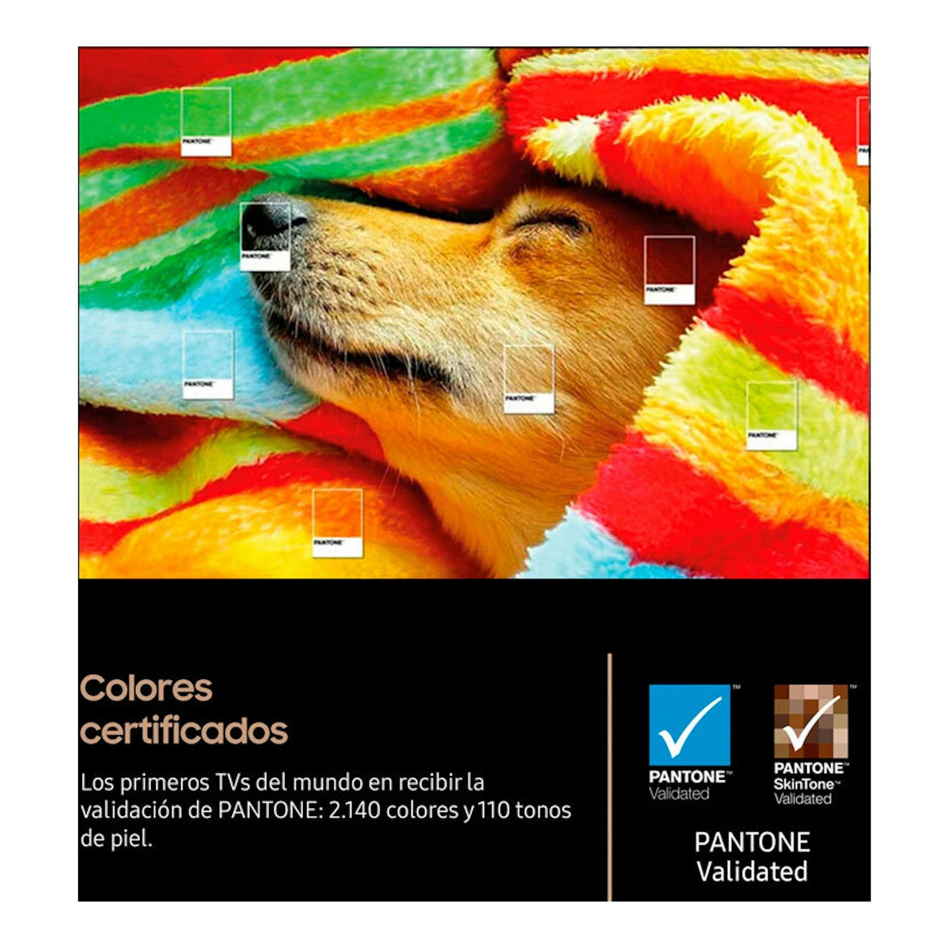 Vista frontal de Samsung TQ83S85FAEXXC OLED 4K 83, con perro bajo manta multicolor y texto PANTONE Validated